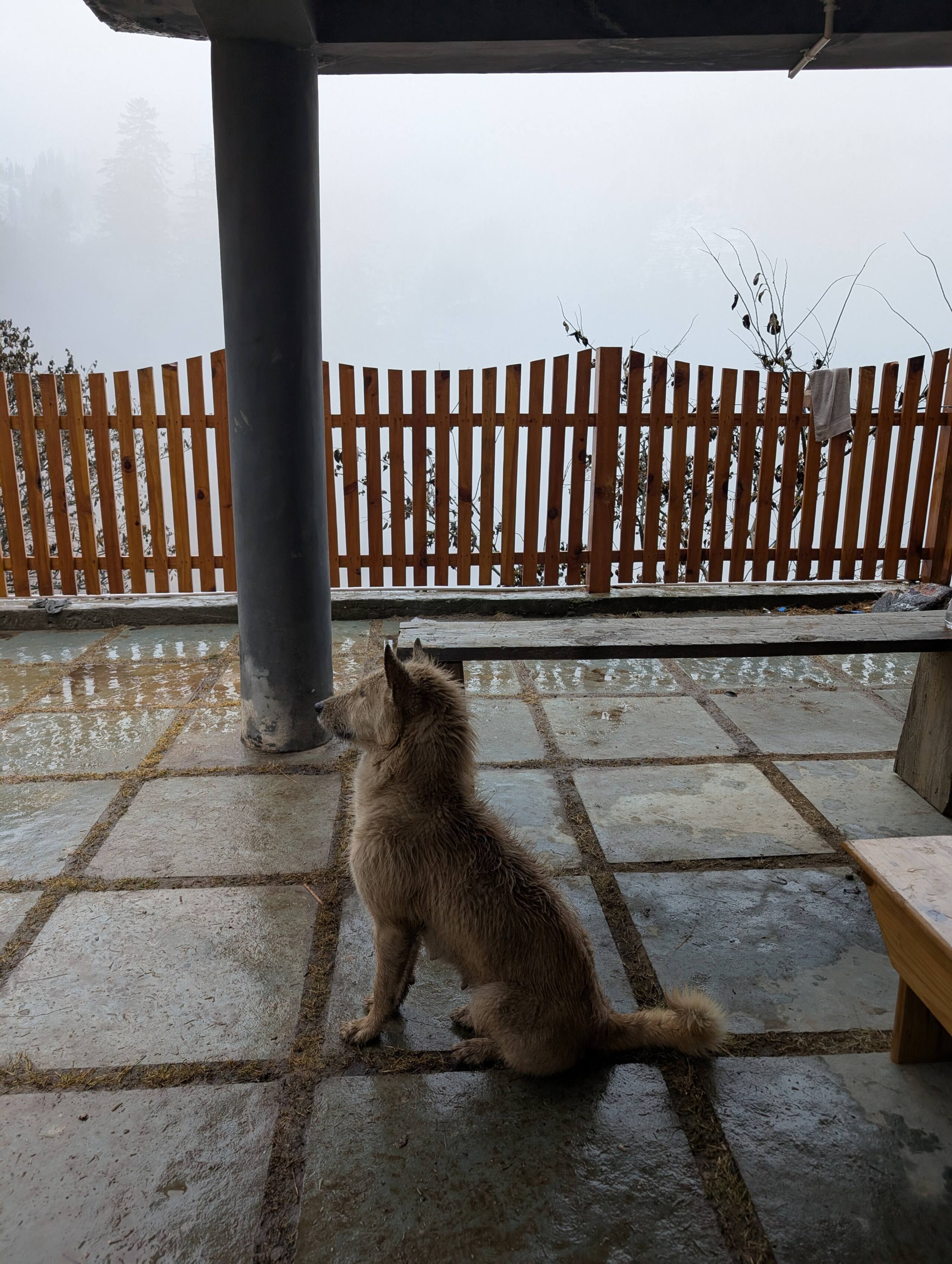 Shunya Stays - A Wooden Chalet in Uch Dhar — photo 3