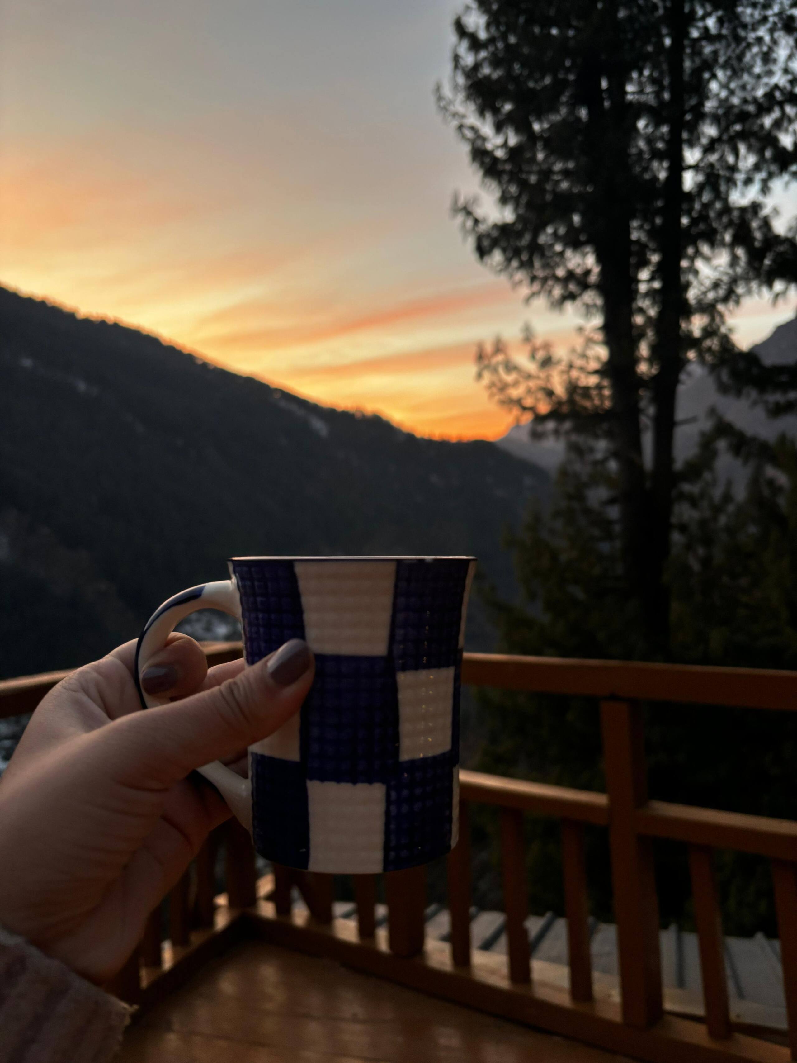 Shunya Stays - A Wooden Chalet in Uch Dhar 24