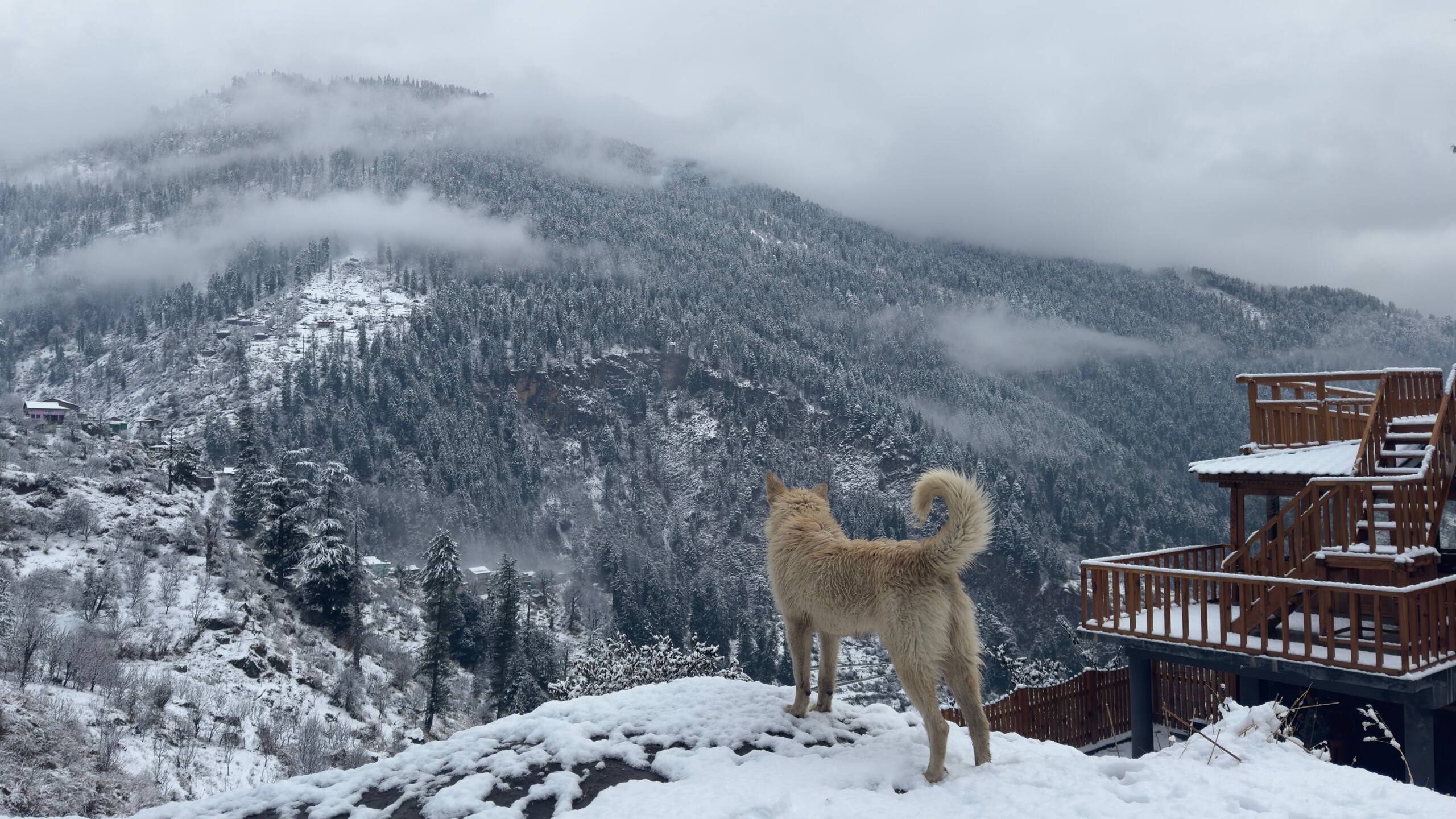 Shunya Stays - A Wooden Chalet in Uch Dhar 6