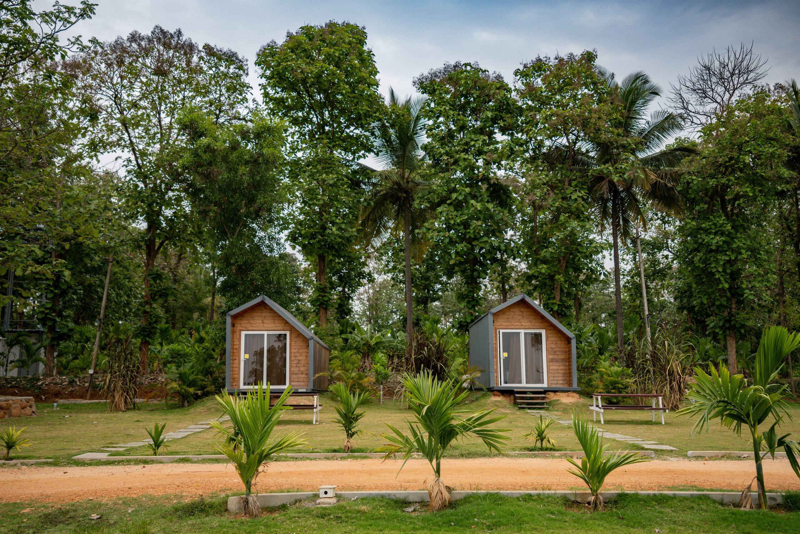 Glamping Cabins at Camp Monk 1