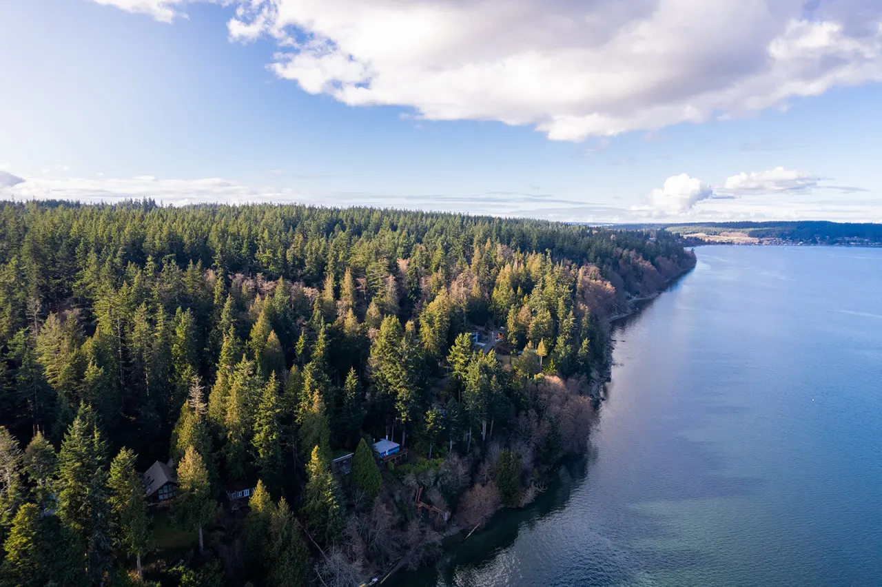 Sunrise View Waterfront Cabin — photo 4