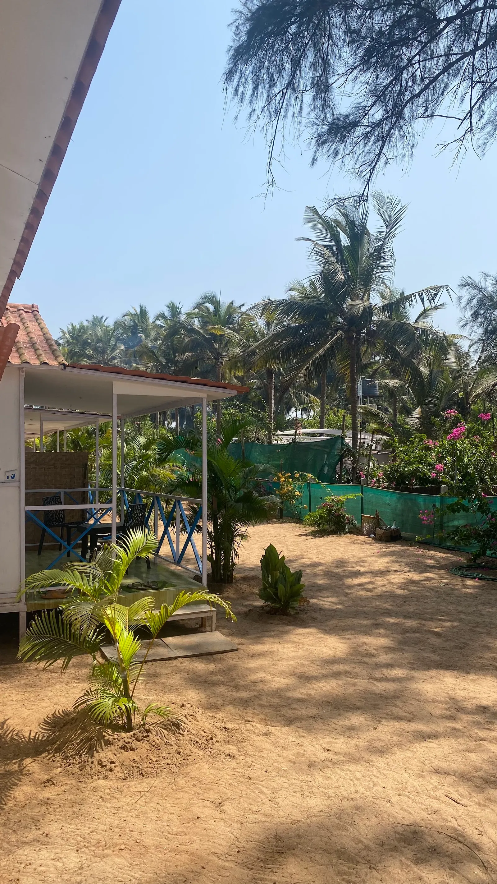 Nikhil's Beach Cottages 6