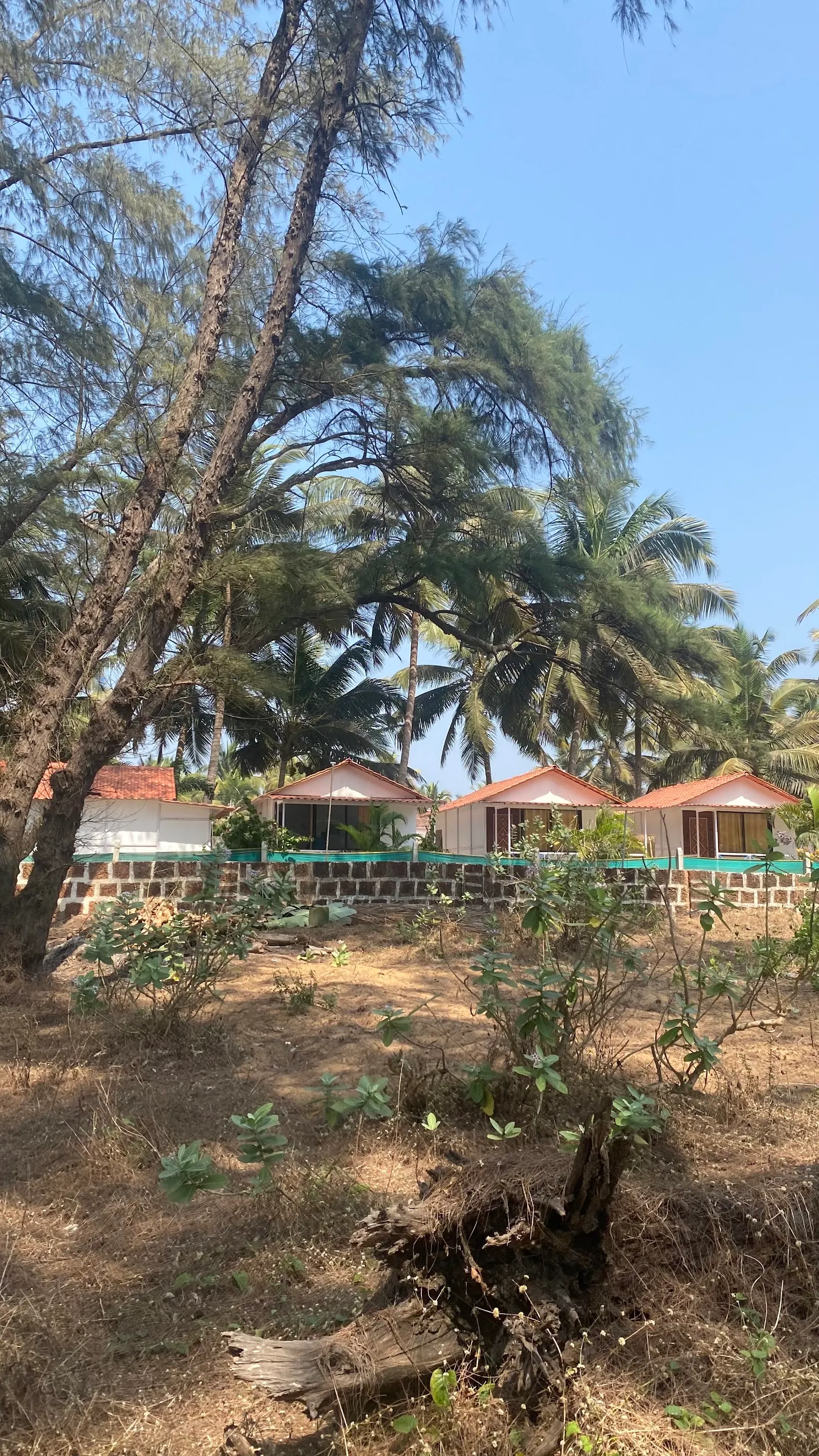 Nikhil's Beach Cottages 9