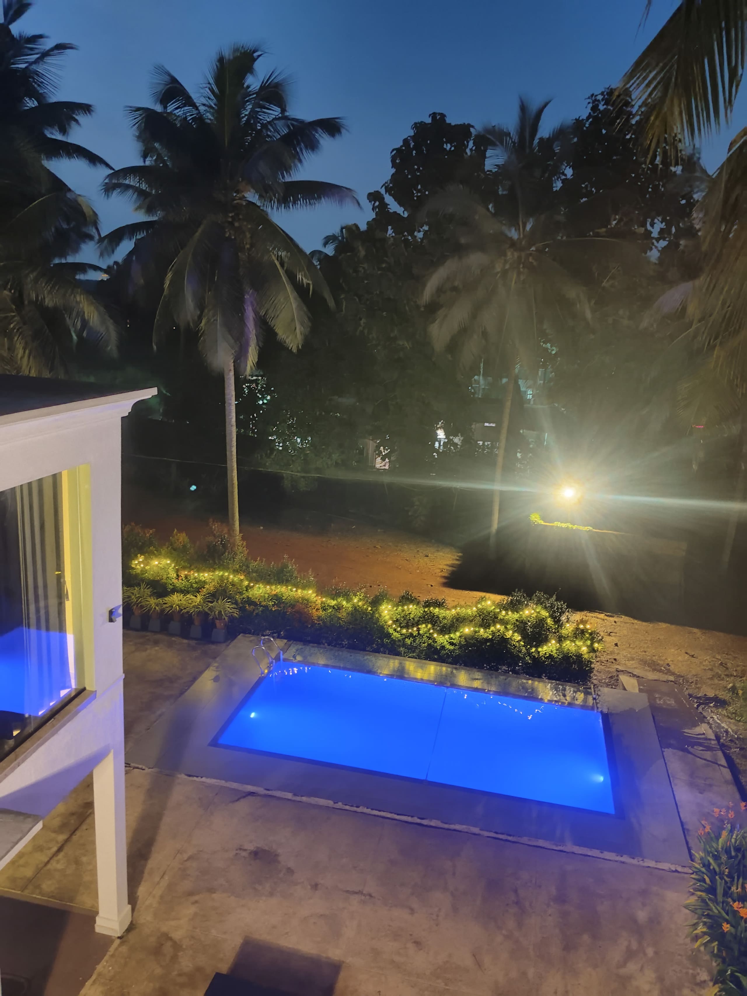 The Big Pineapple Estate — photo 4