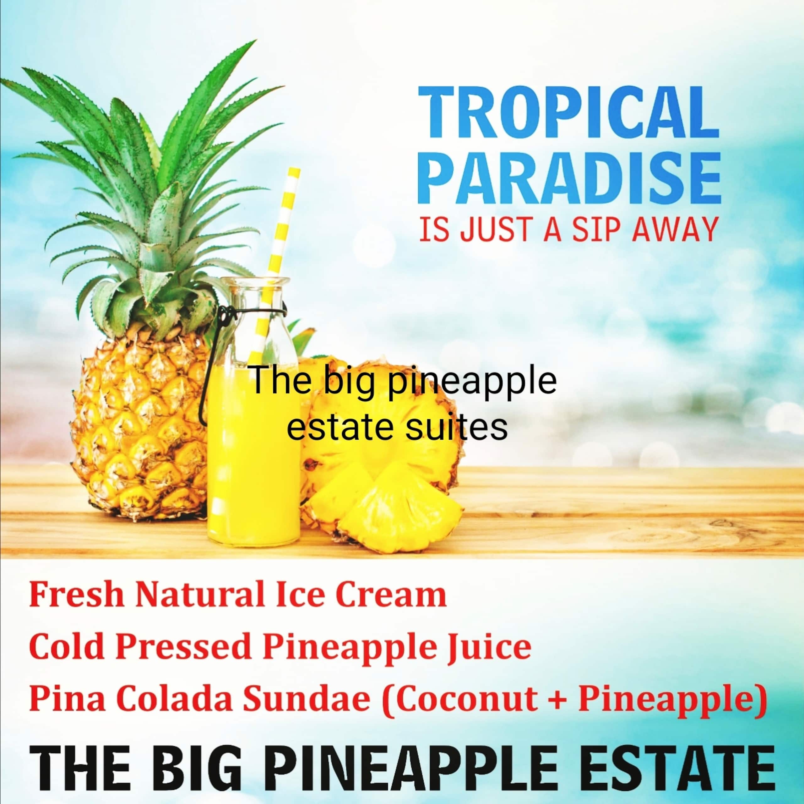 The Big Pineapple Estate — photo 2