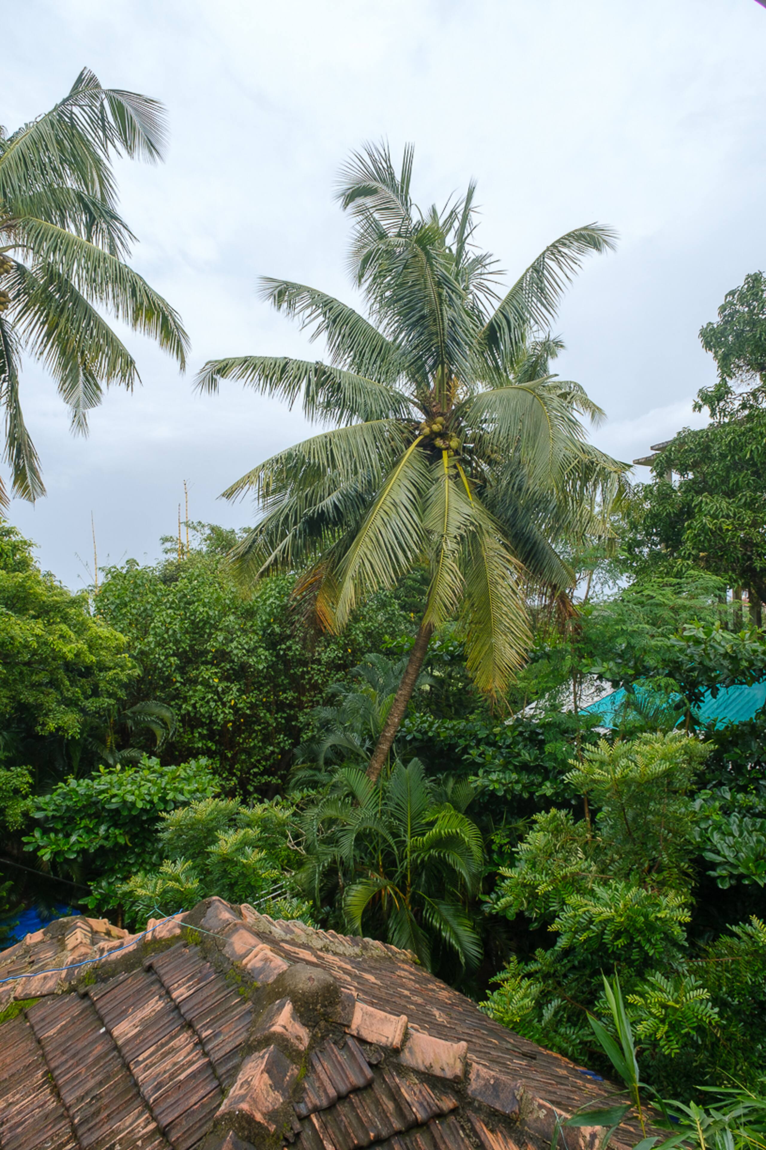 Room at the top of the stairs - in Calangute/Baga. 17