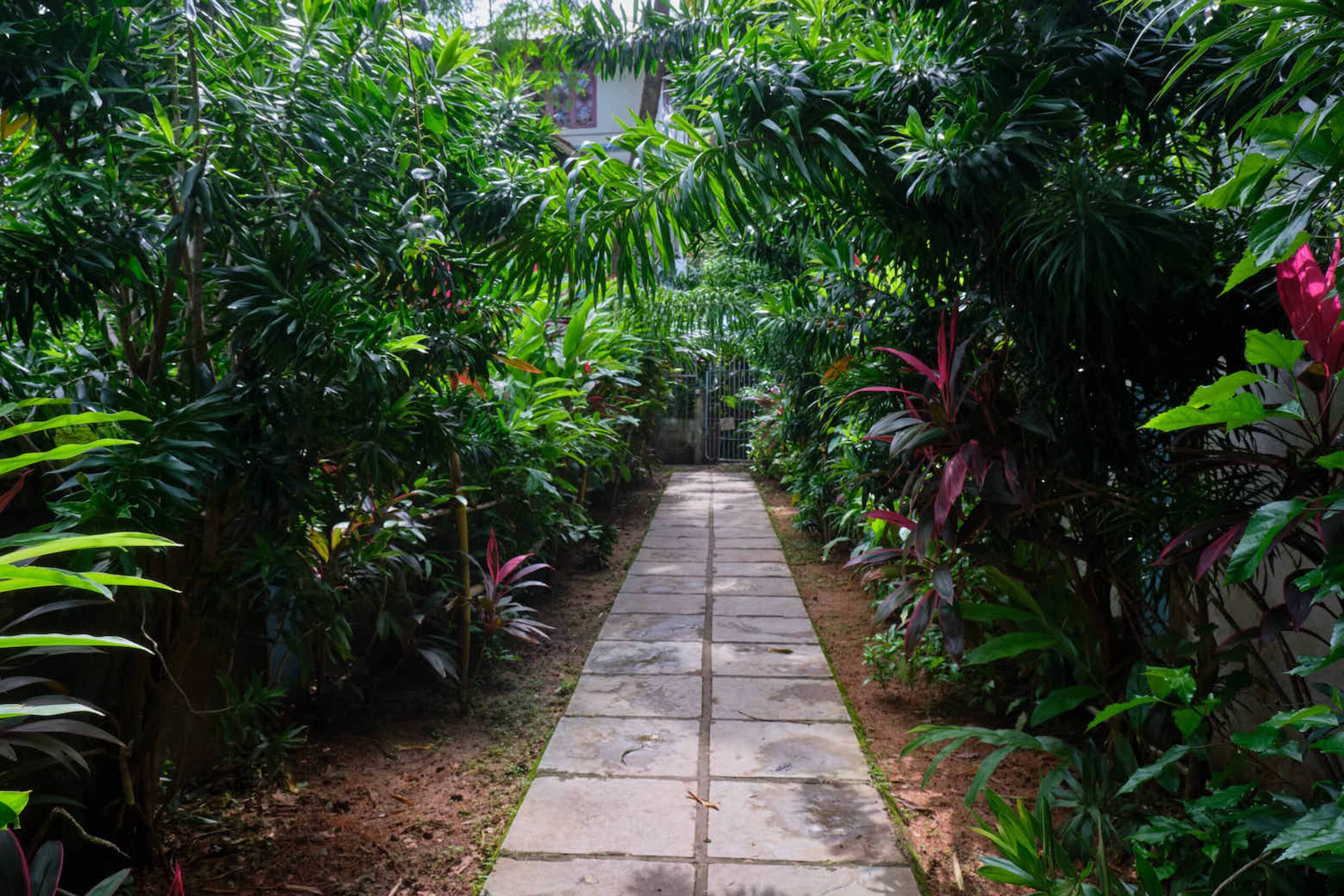 Room at the top of the stairs - in Calangute/Baga. 13