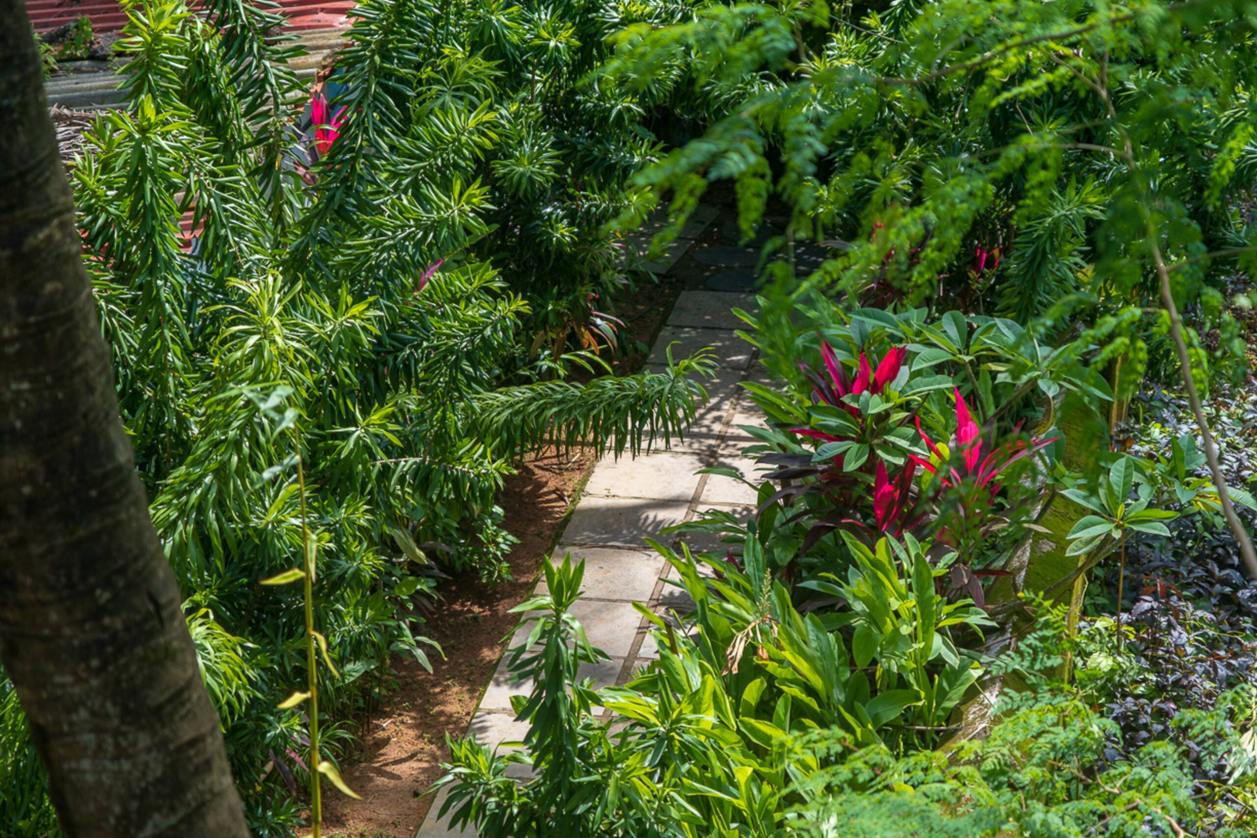 Room at the top of the stairs - in Calangute/Baga. 14