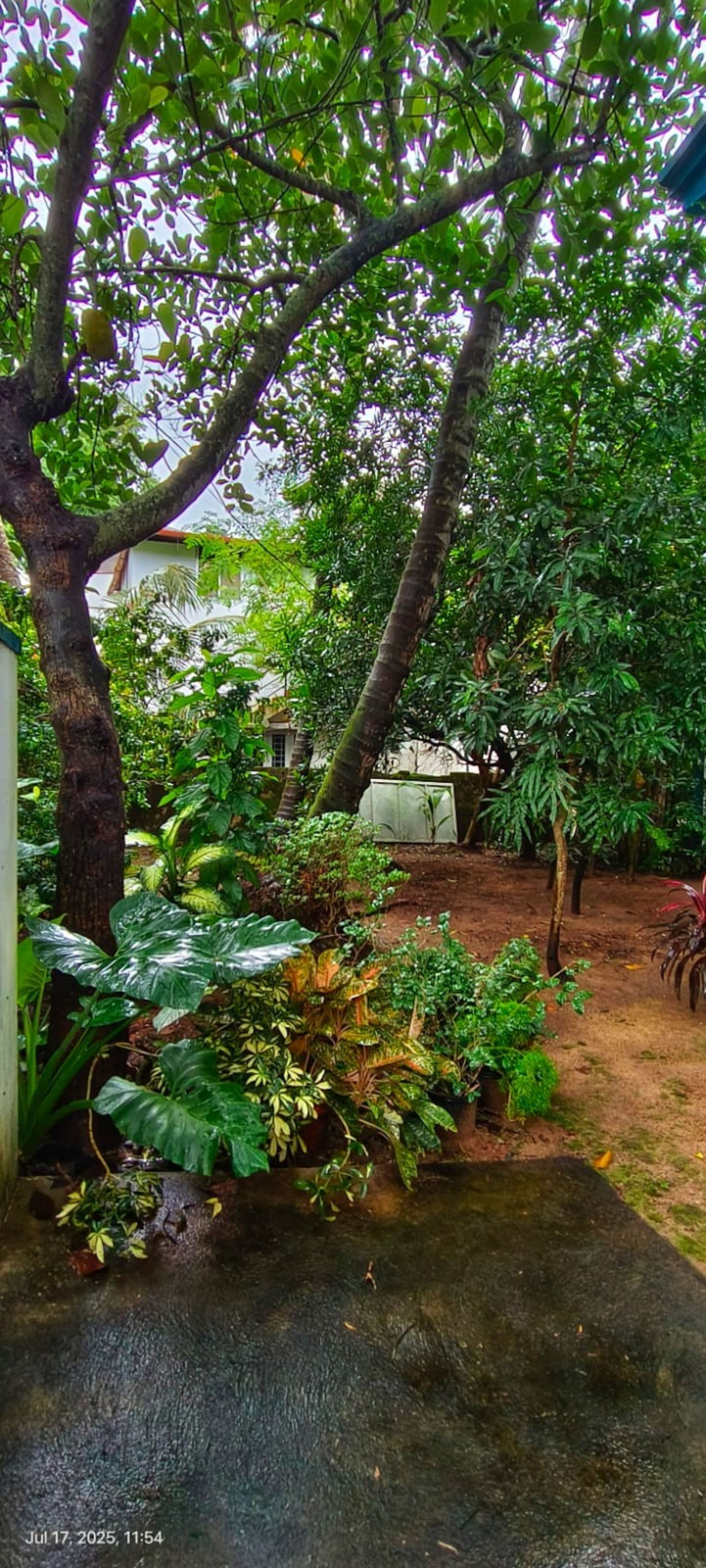 Breakfast incl. AC room central Fort kochi Grade1 10