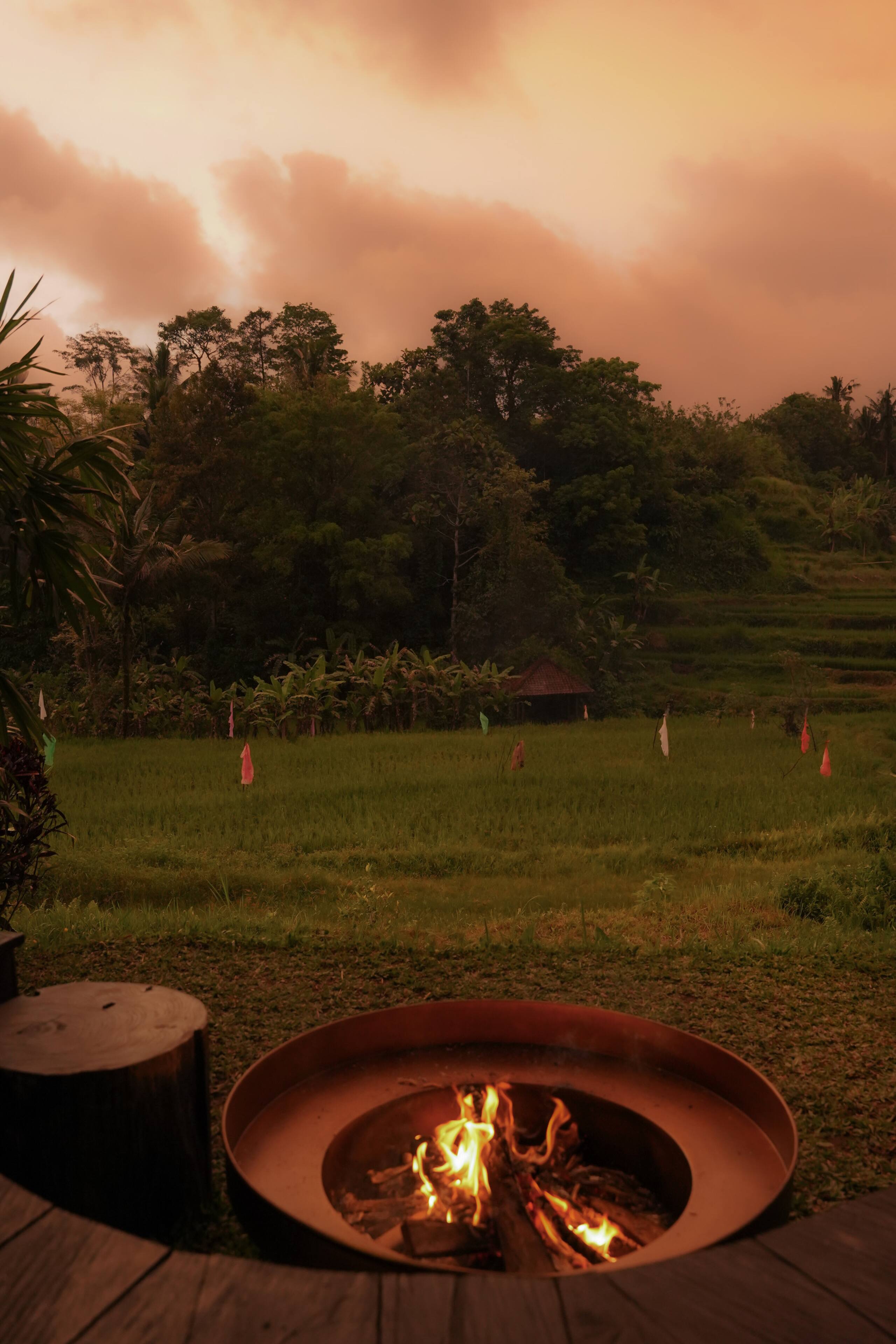 Camaya Bali - Sayang House with rice fields view 31