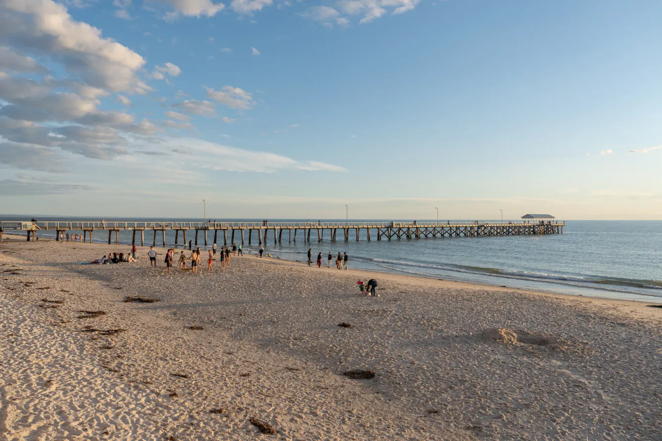 Hacienda at Henley—Chic Seaside Haven near Airport 5
