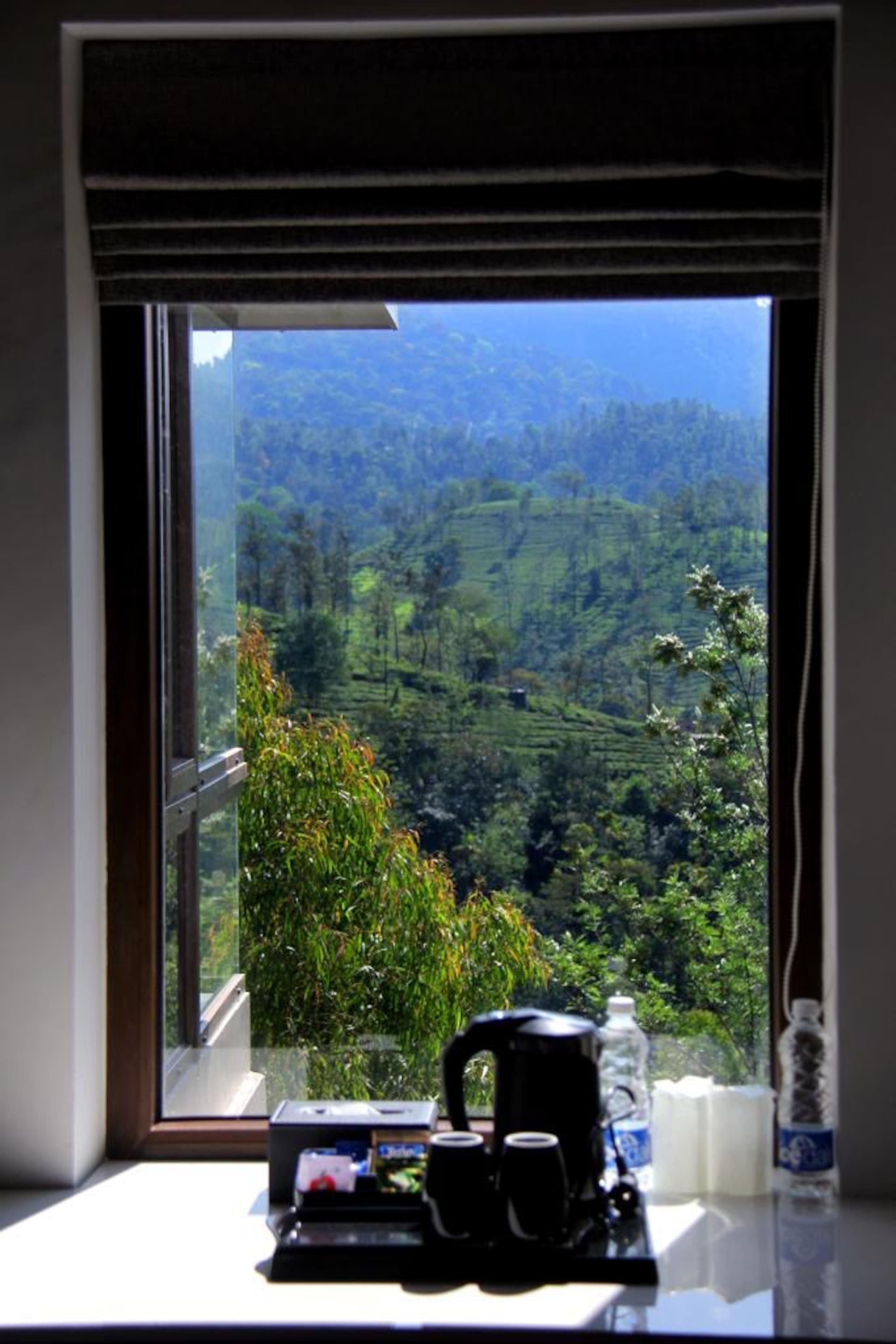 Evergreen Haven | Infinity Pool | Vythiri 4