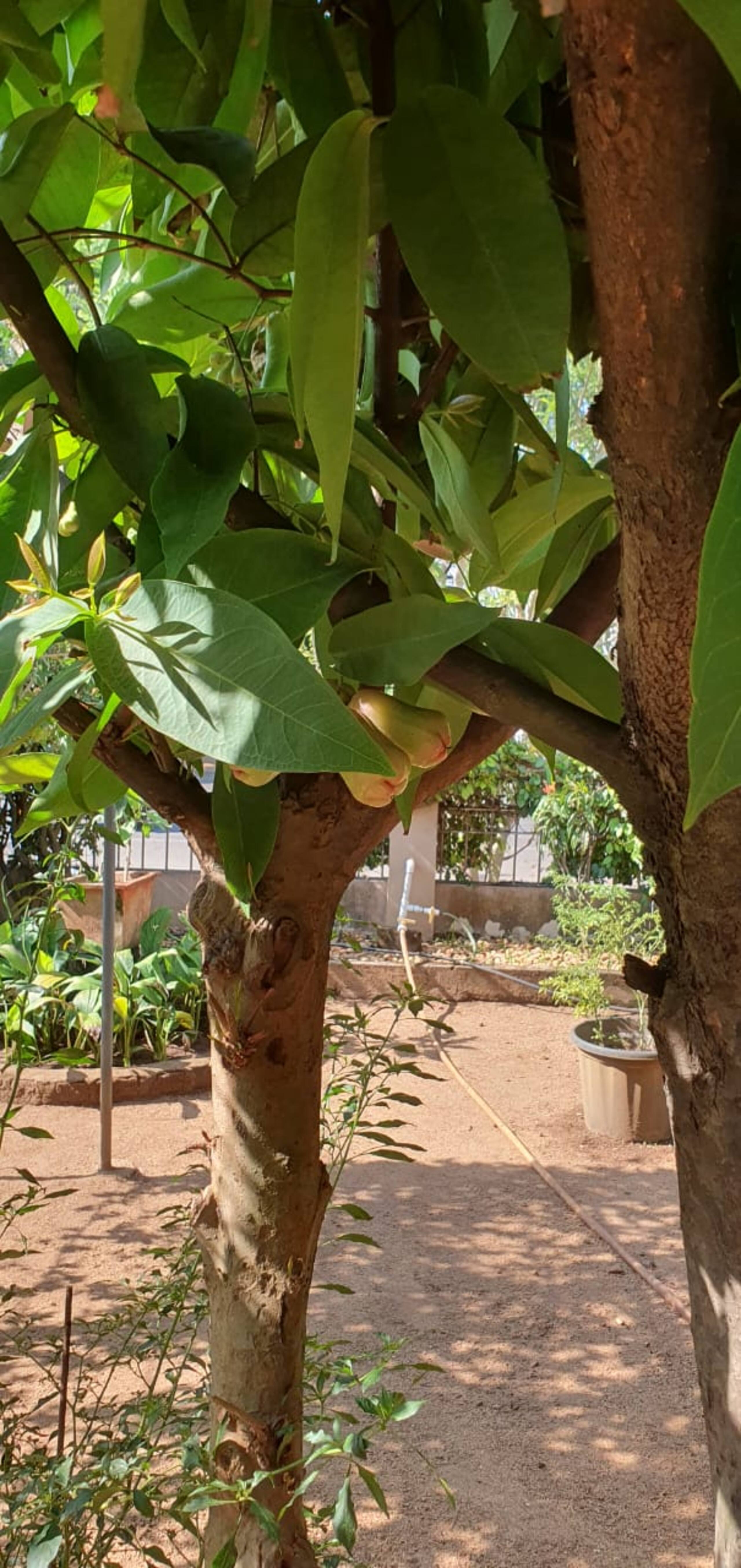 A Garden Hideaway 34