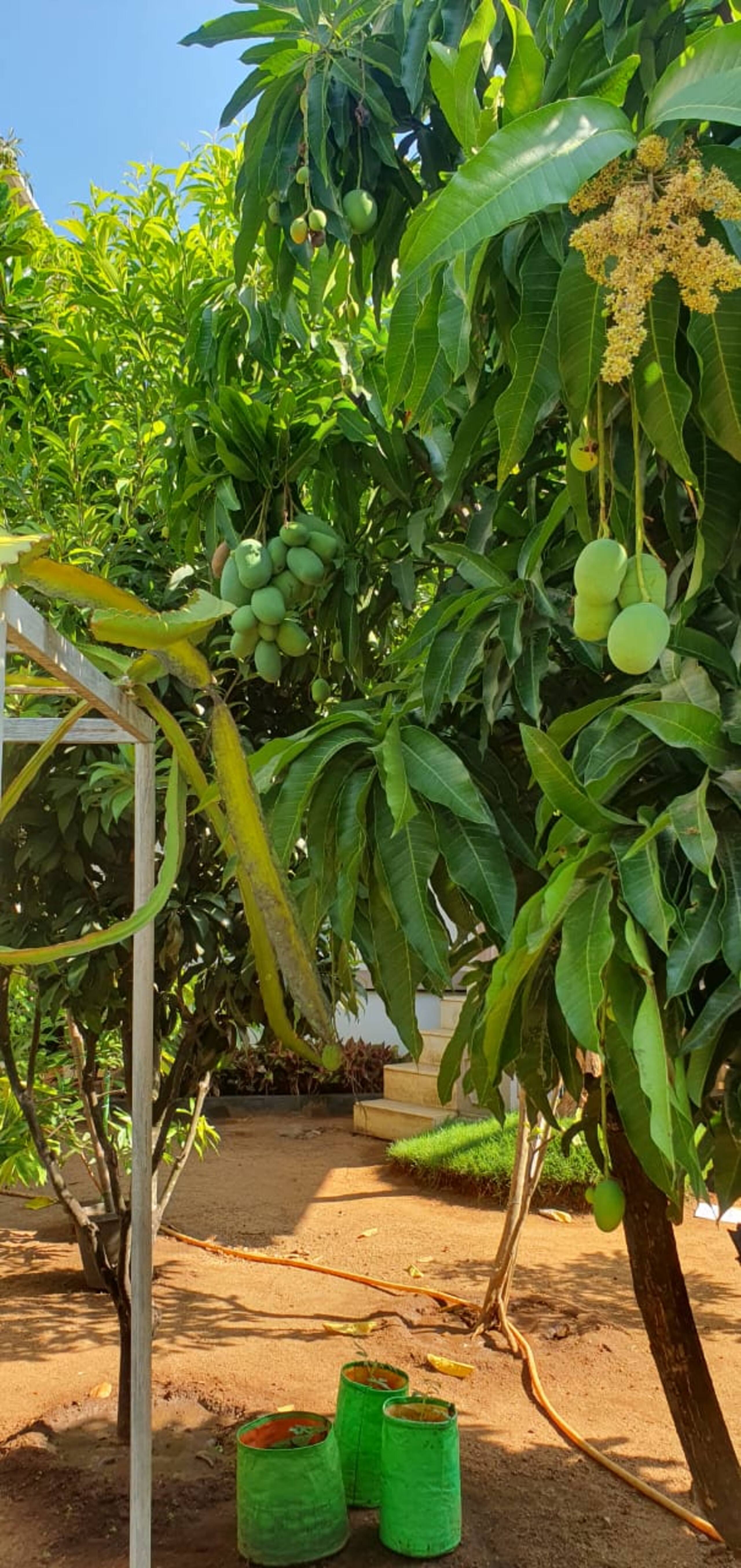 A Garden Hideaway 30