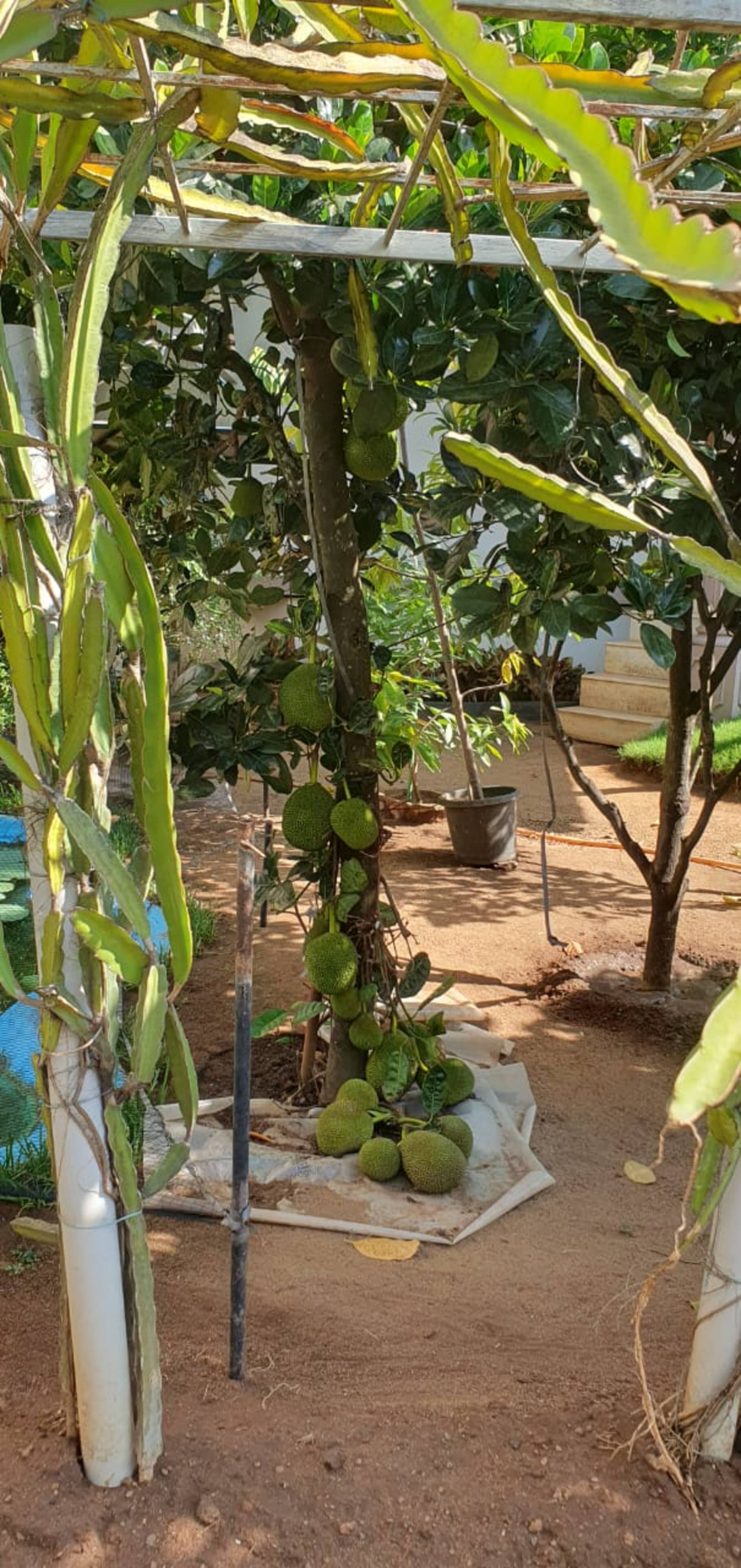 A Garden Hideaway 20