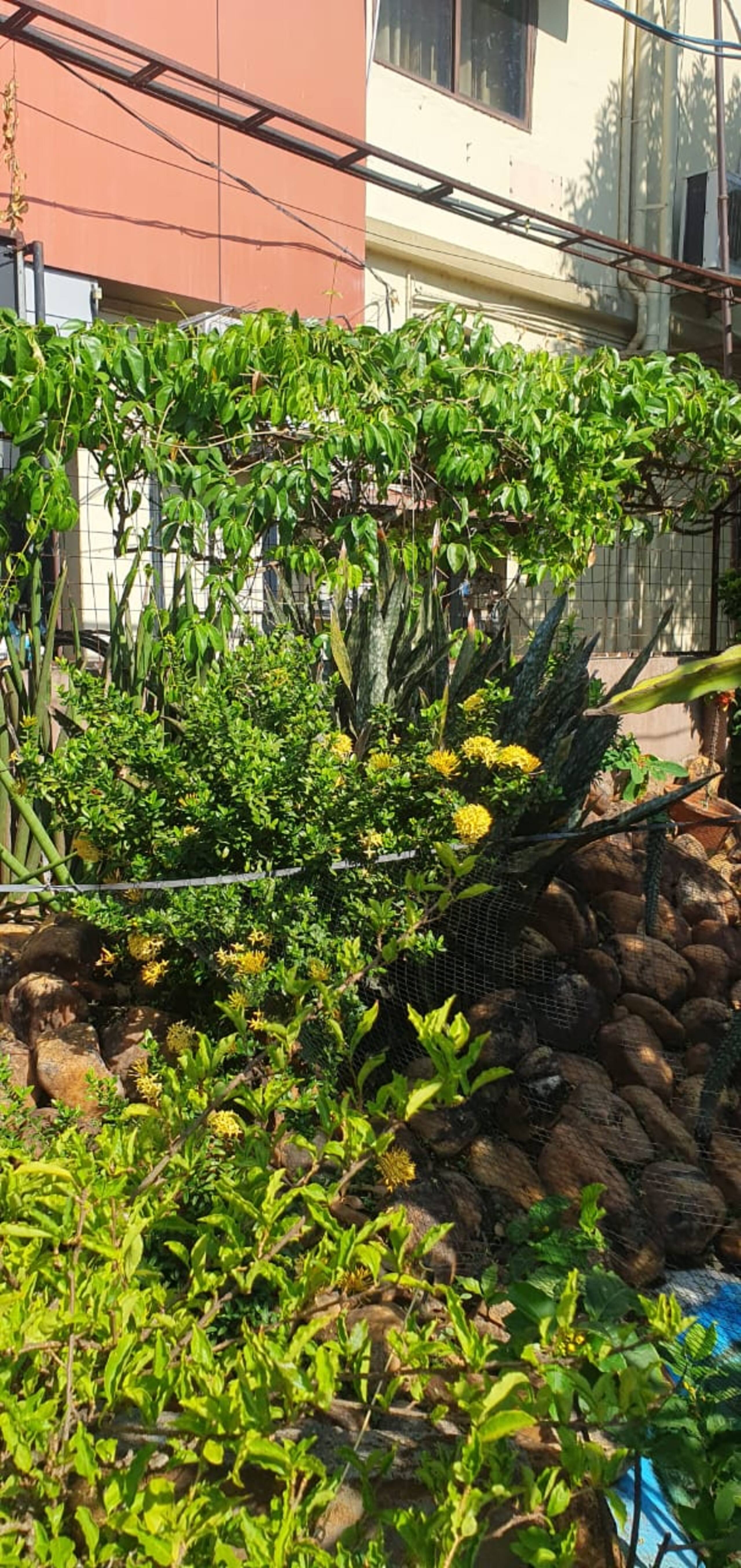 A Garden Hideaway 26