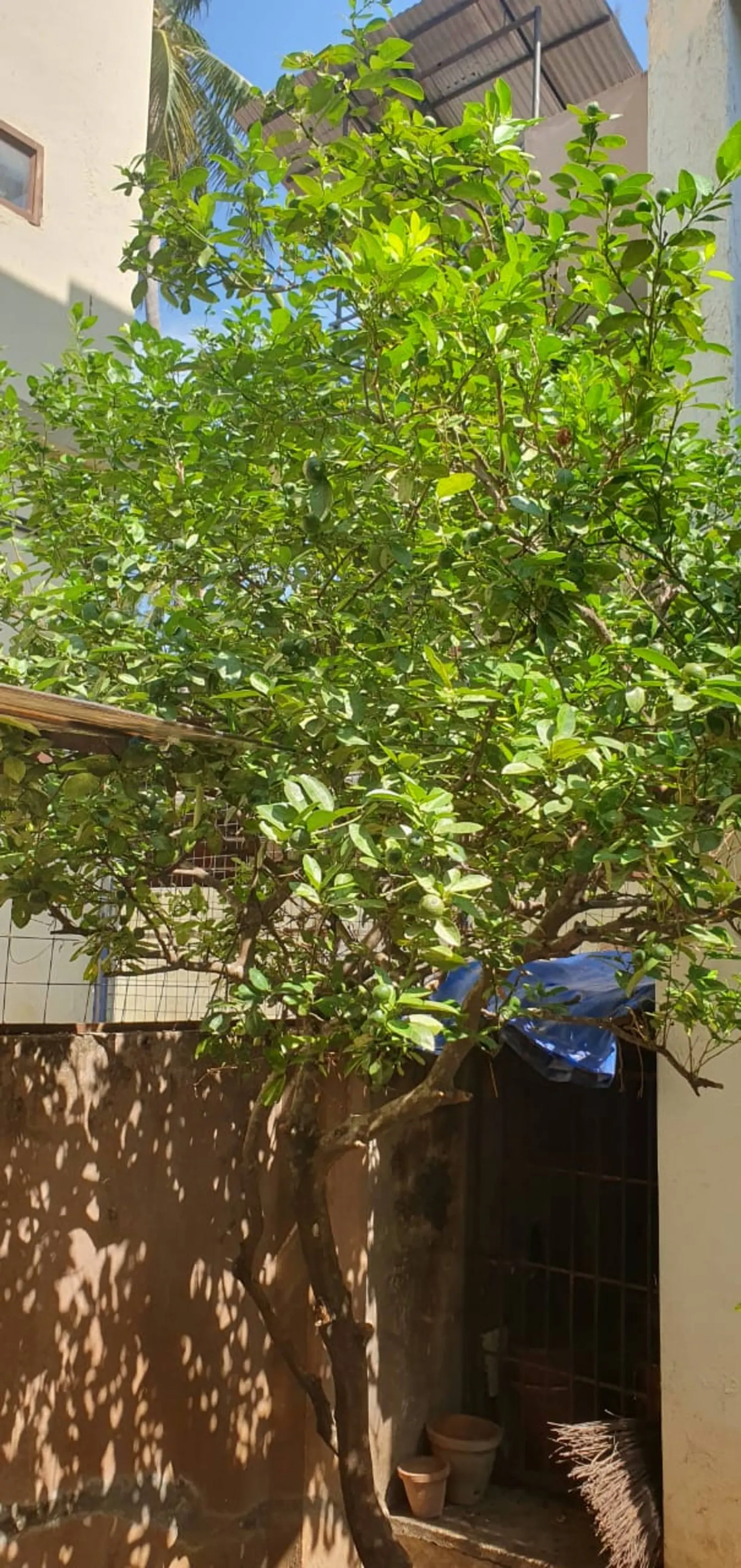A Garden Hideaway 23