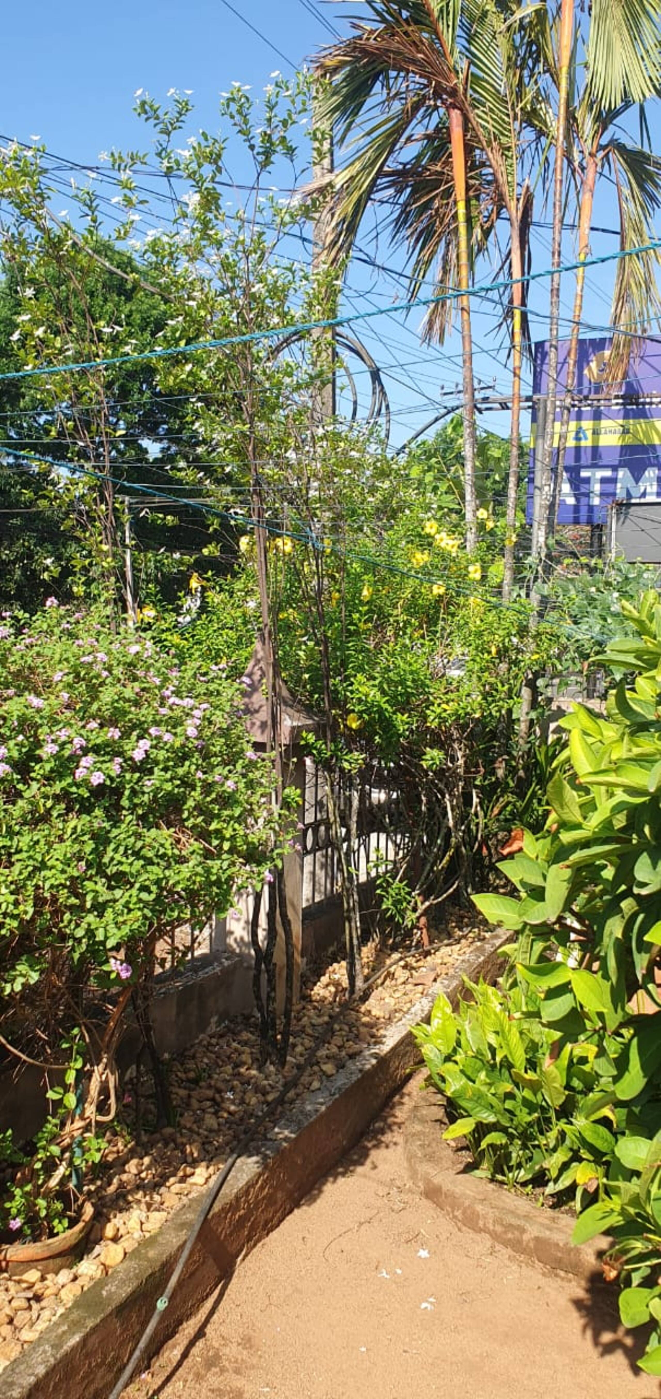 A Garden Hideaway 28