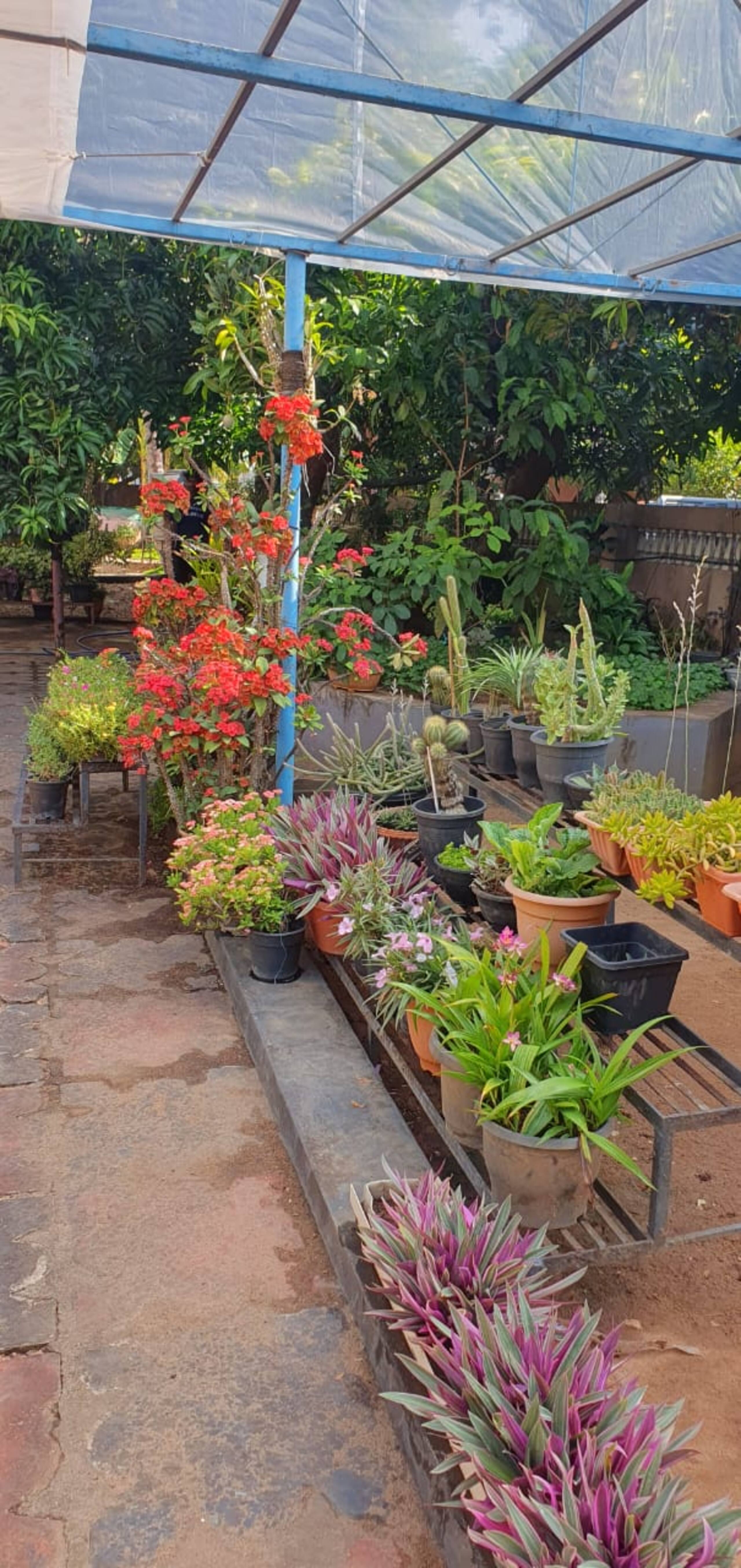 A Garden Hideaway 31