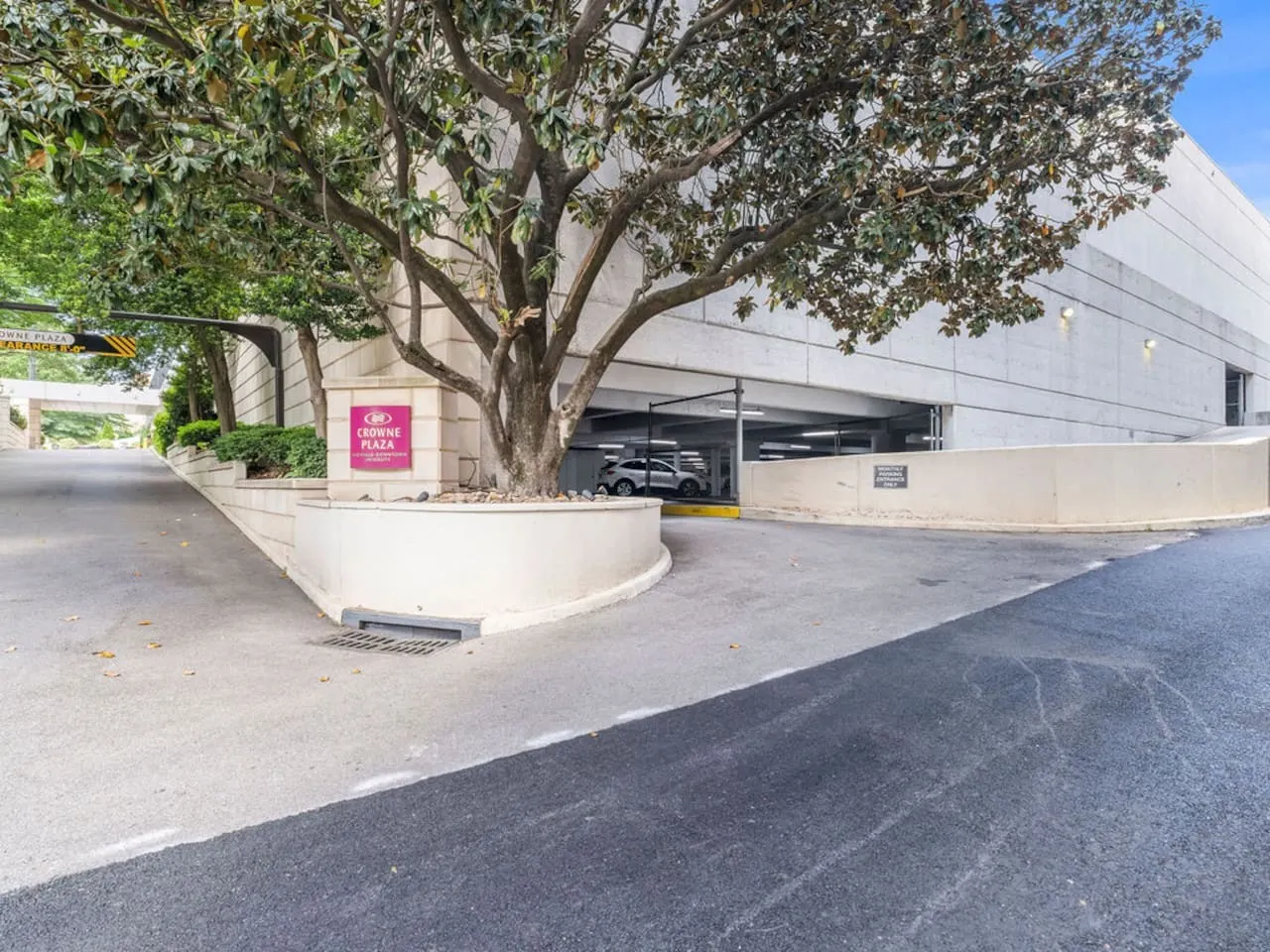 The Summit Nest Cozy 1BR in the Heart of Knox 19