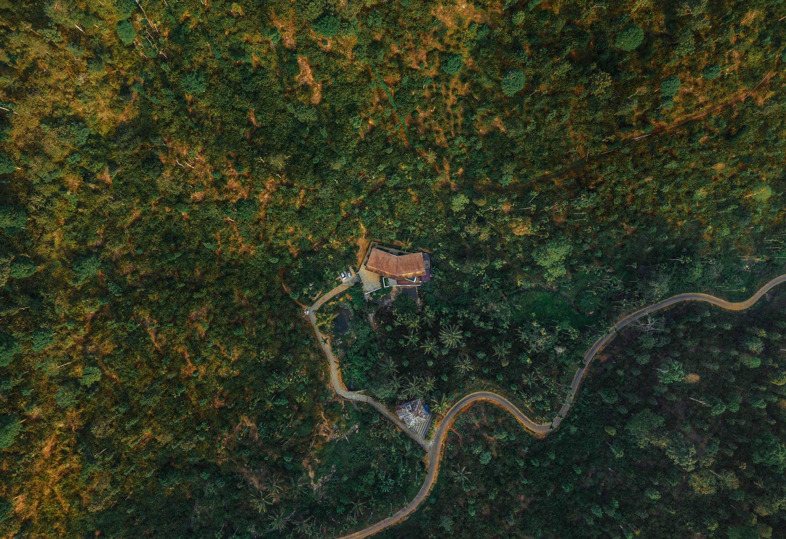 Bhadra - The Estate Villa 1