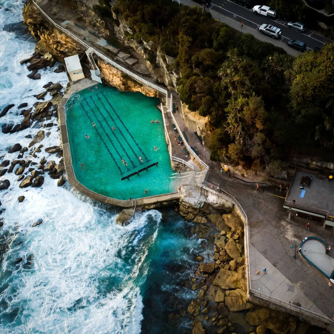 Mopsys at Bronte Beach 17