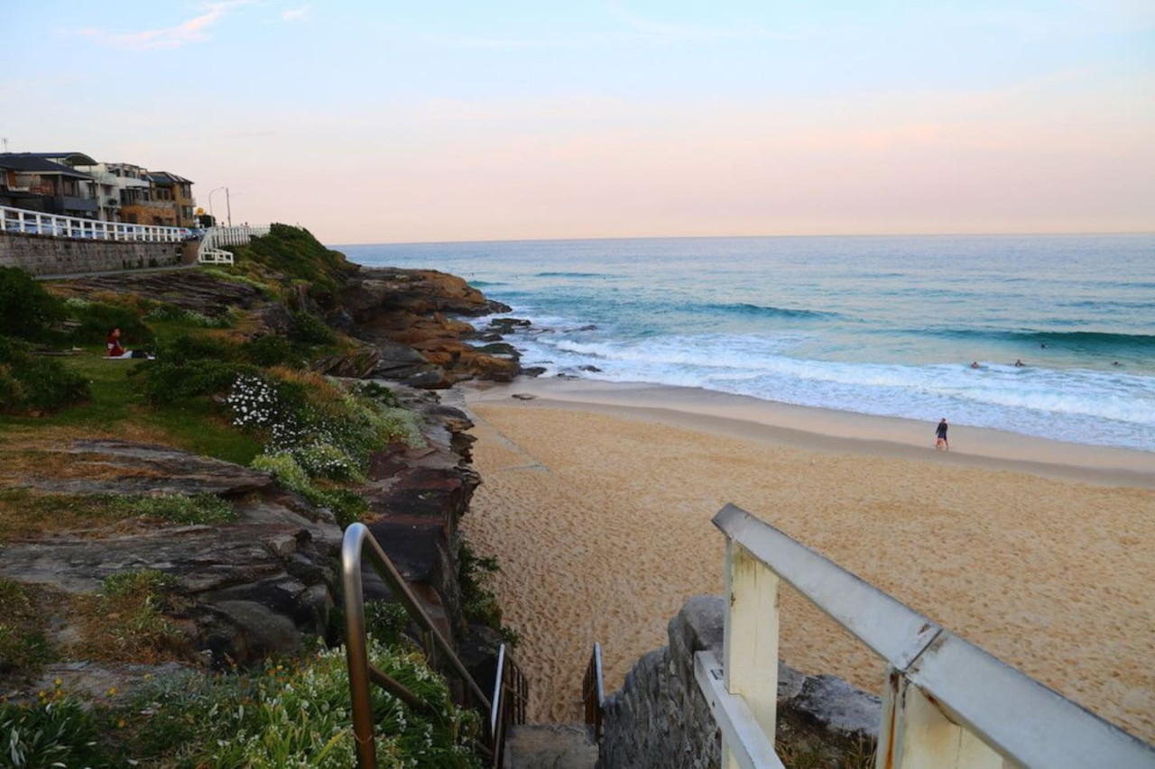 Mopsys at Bronte Beach — photo 4