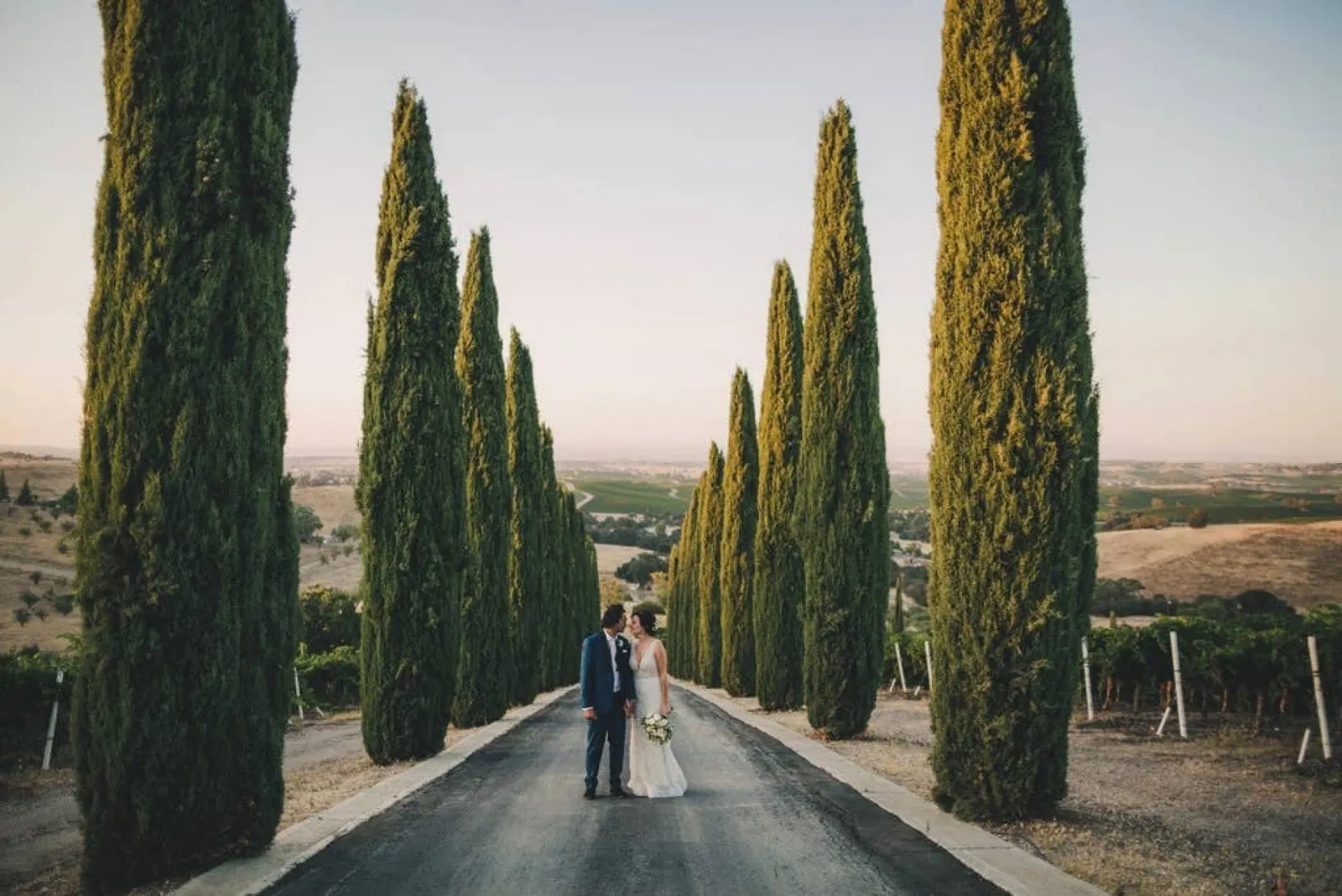 Aterno Estate & Vineyard Wedding Venue 1