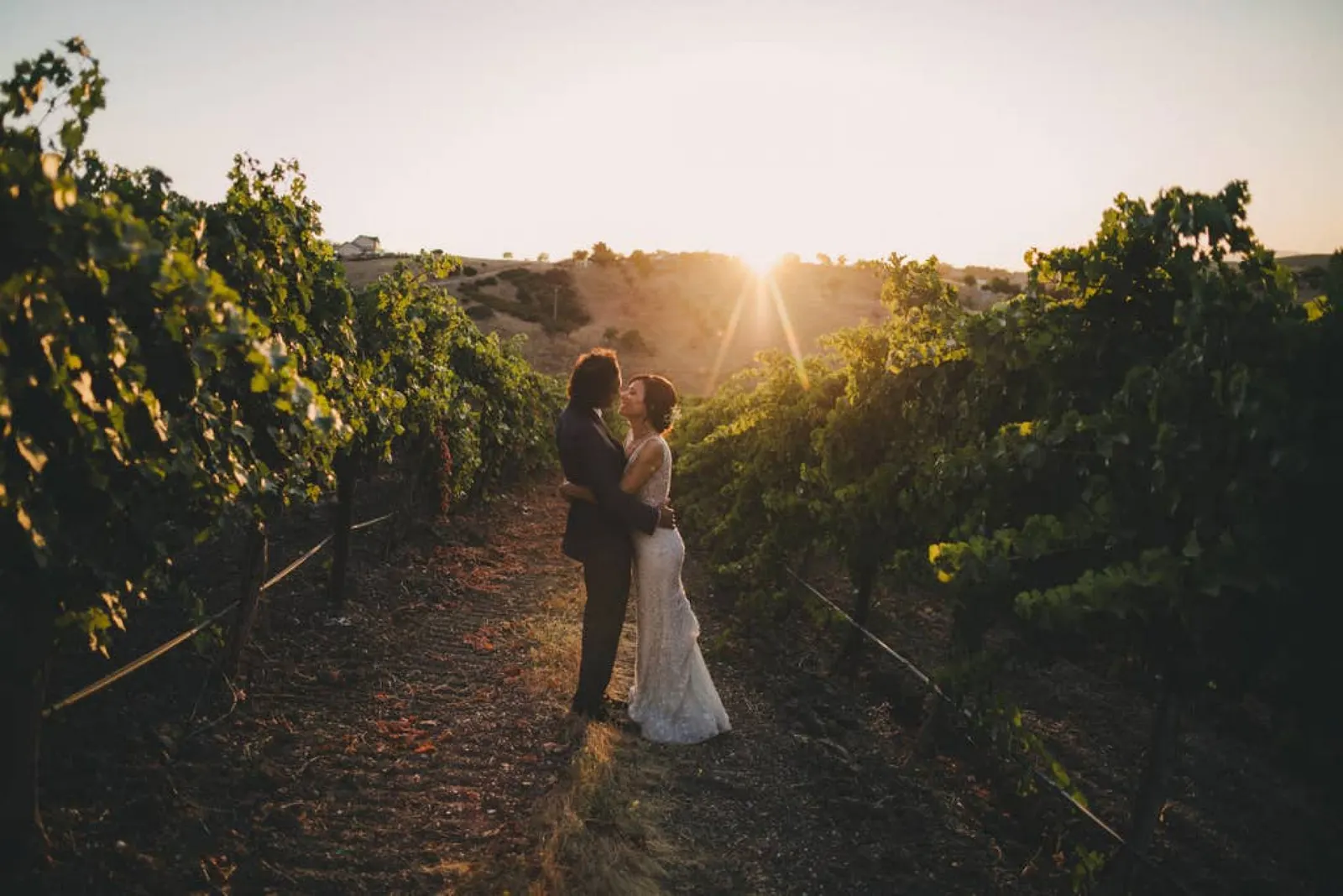 Aterno Estate & Vineyard Wedding Venue 2