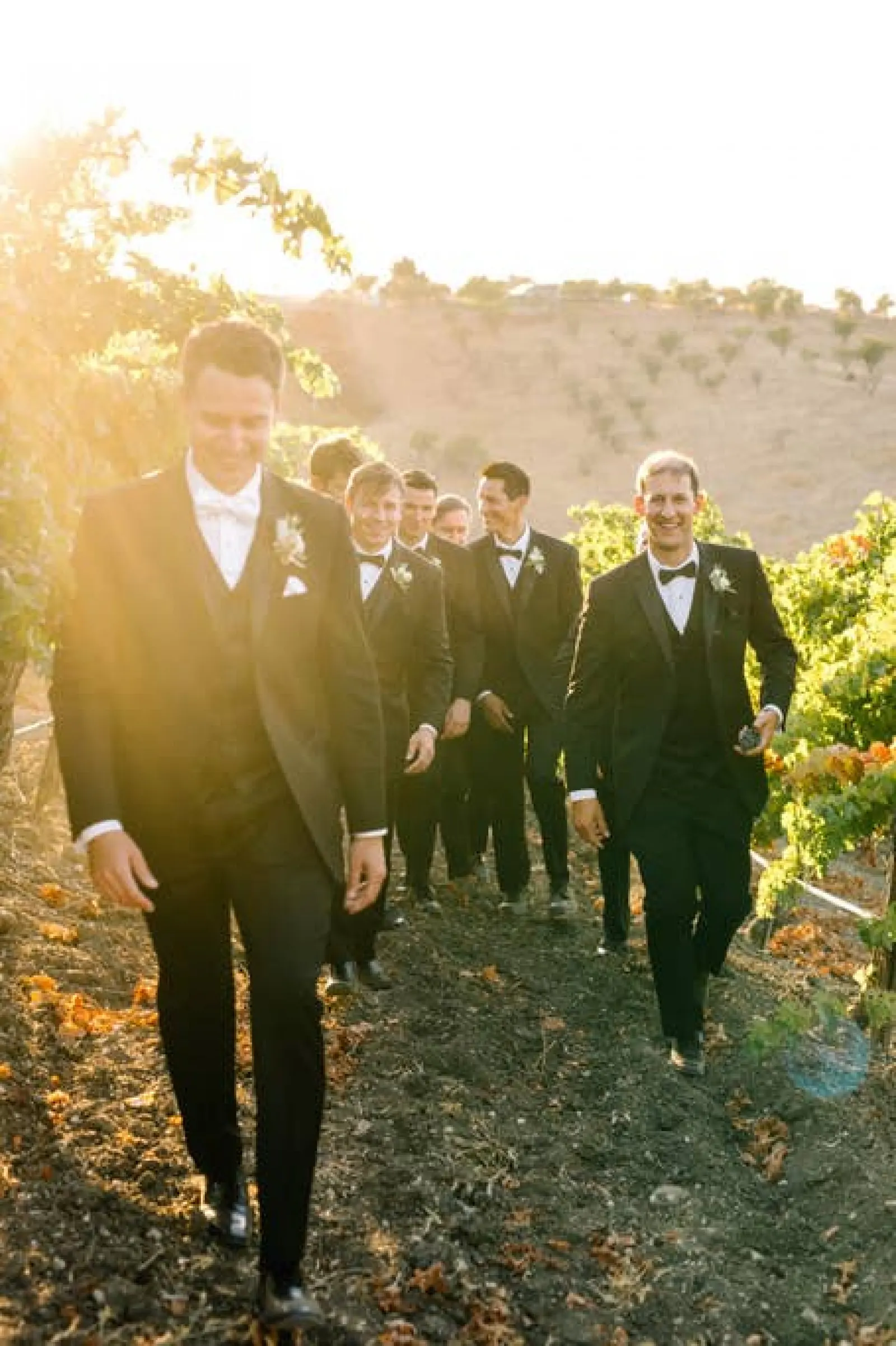 Aterno Estate & Vineyard Wedding Venue 9