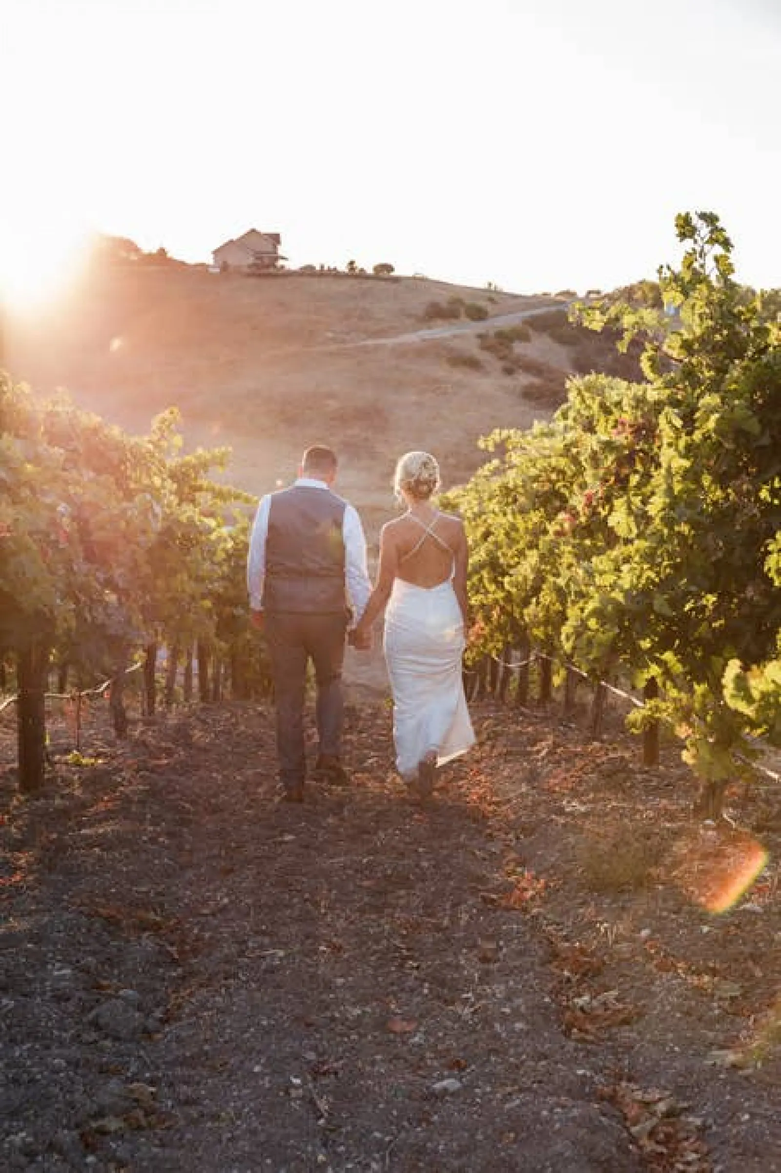 Aterno Estate & Vineyard Wedding Venue 13