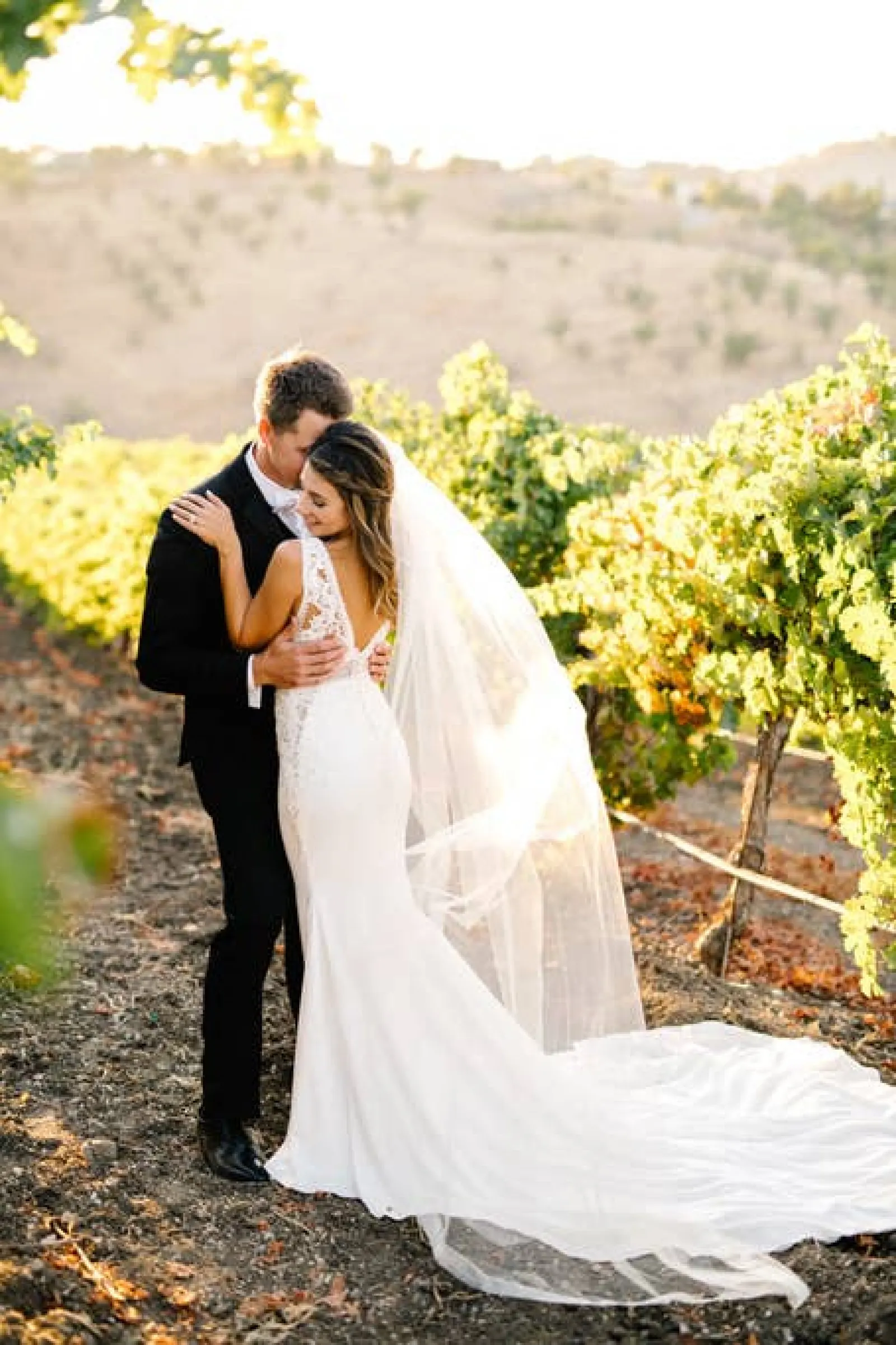 Aterno Estate & Vineyard Wedding Venue 14