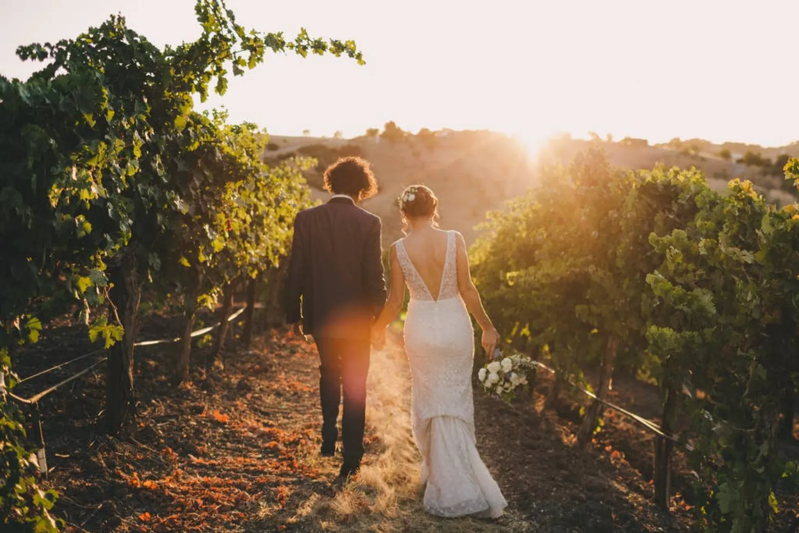 Aterno Estate & Vineyard Wedding Venue 4
