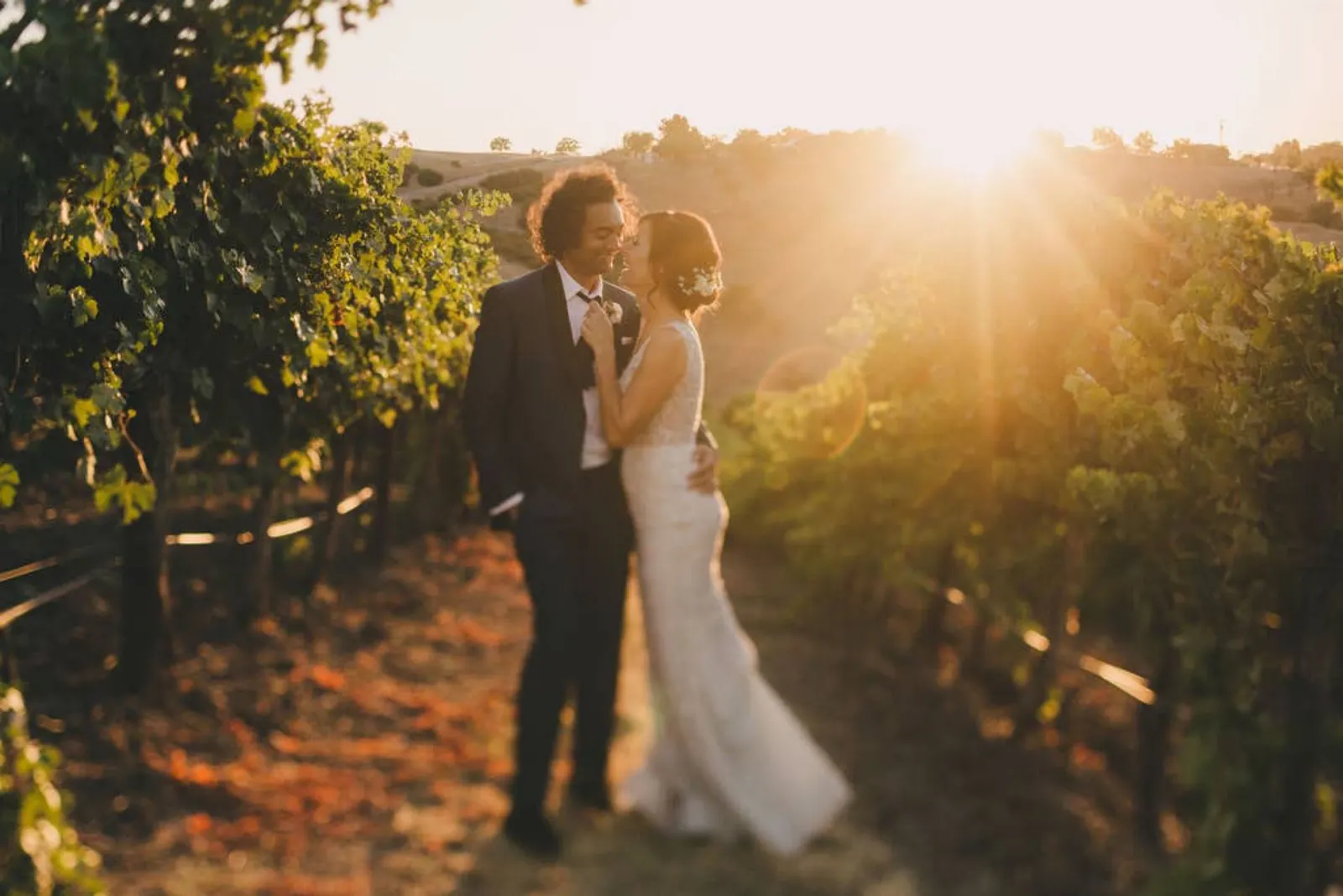 Aterno Estate & Vineyard Wedding Venue 5