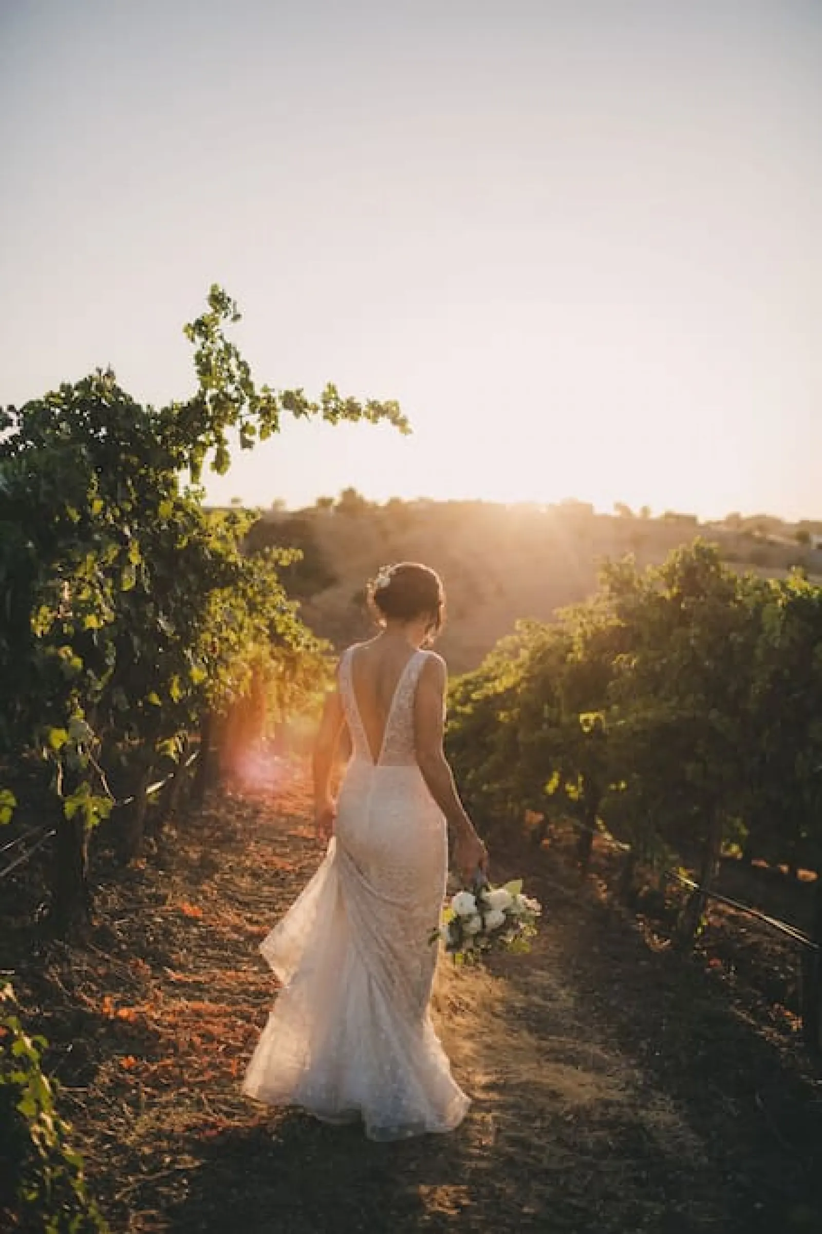 Aterno Estate & Vineyard Wedding Venue 6