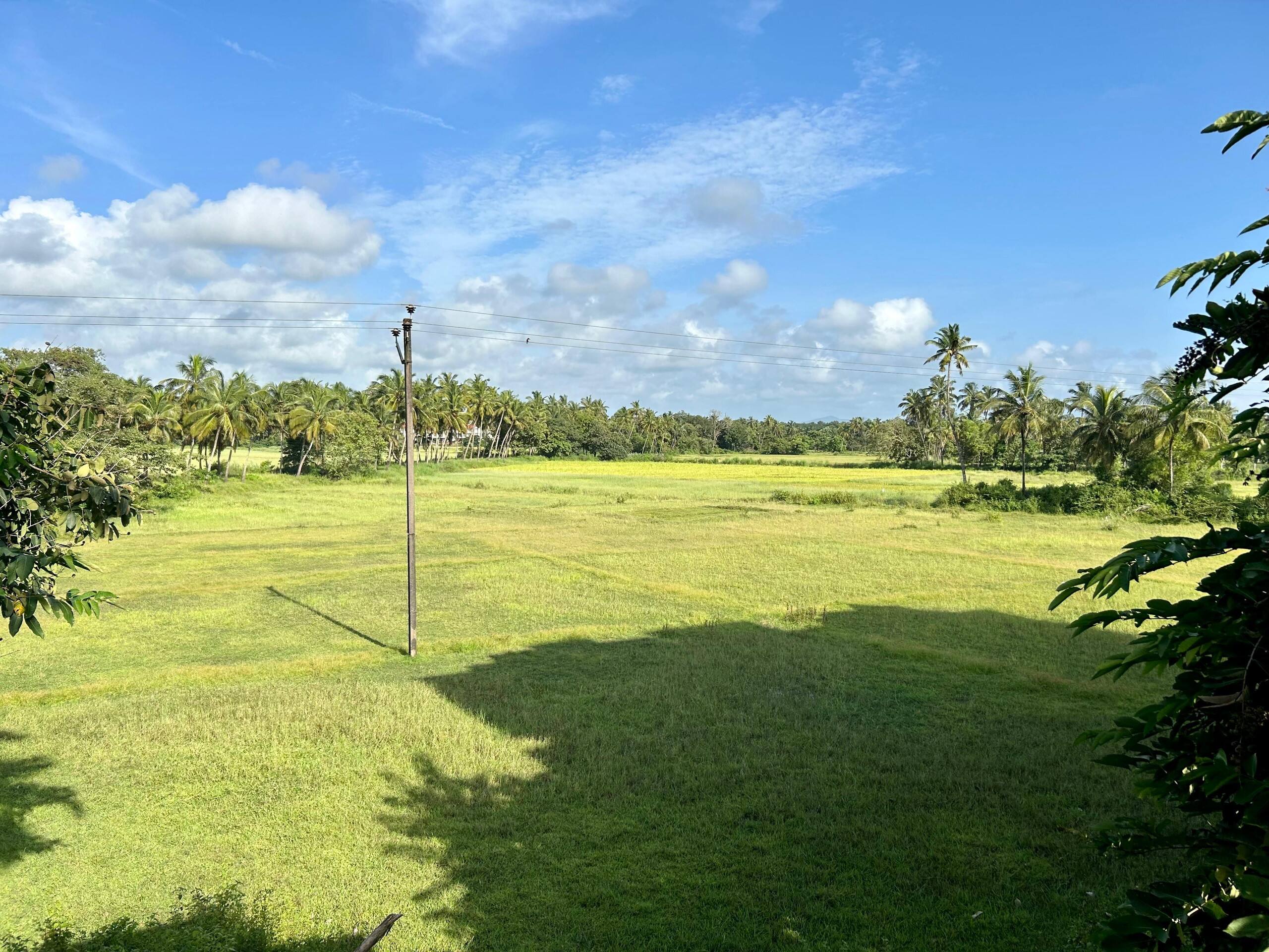 Varca 3BHK Villa-Pool, Field-View & Near Beach 3