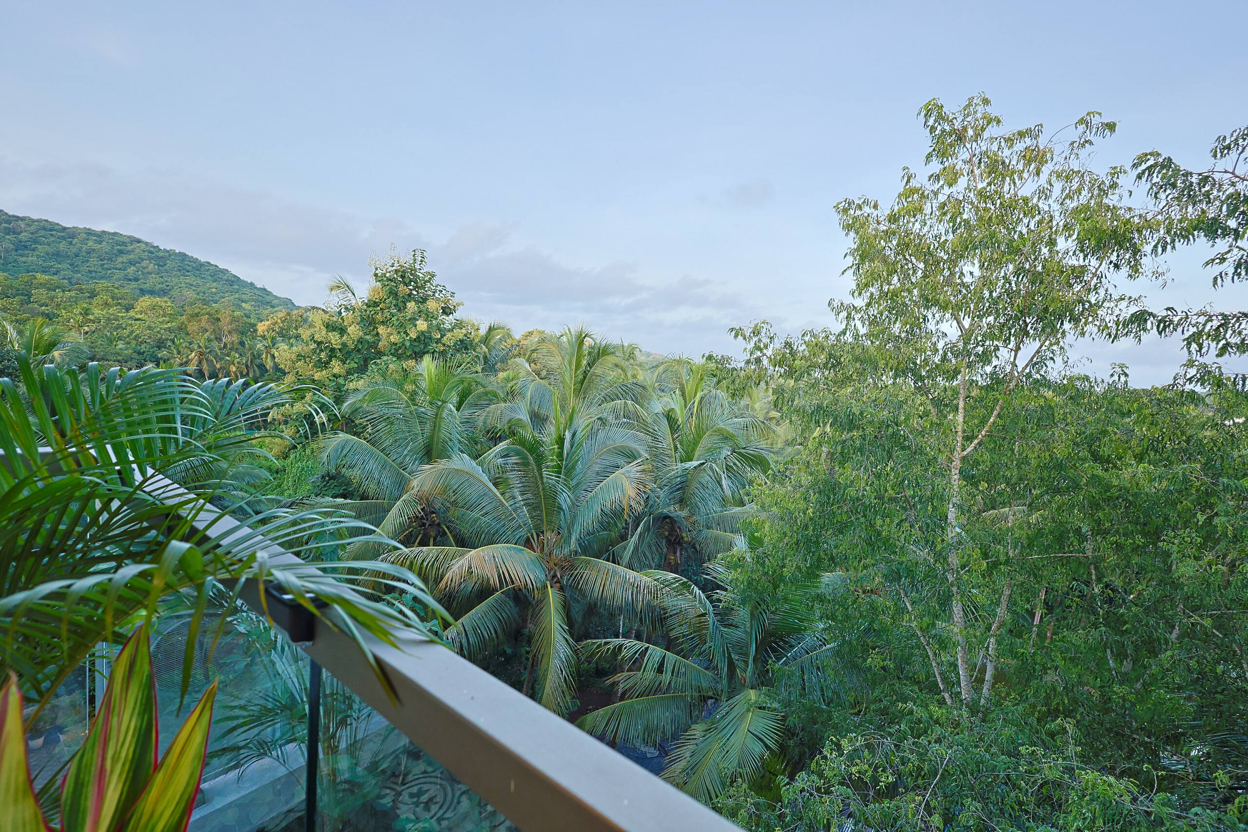 KASA’s FernCrest, your Goa haven at Siolim. 35