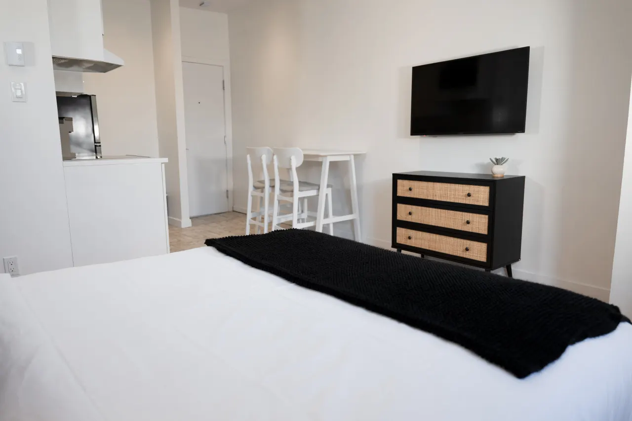 #8 - Studio/Plateau/St-Denis/SelfCheck-In/AC/TV 11