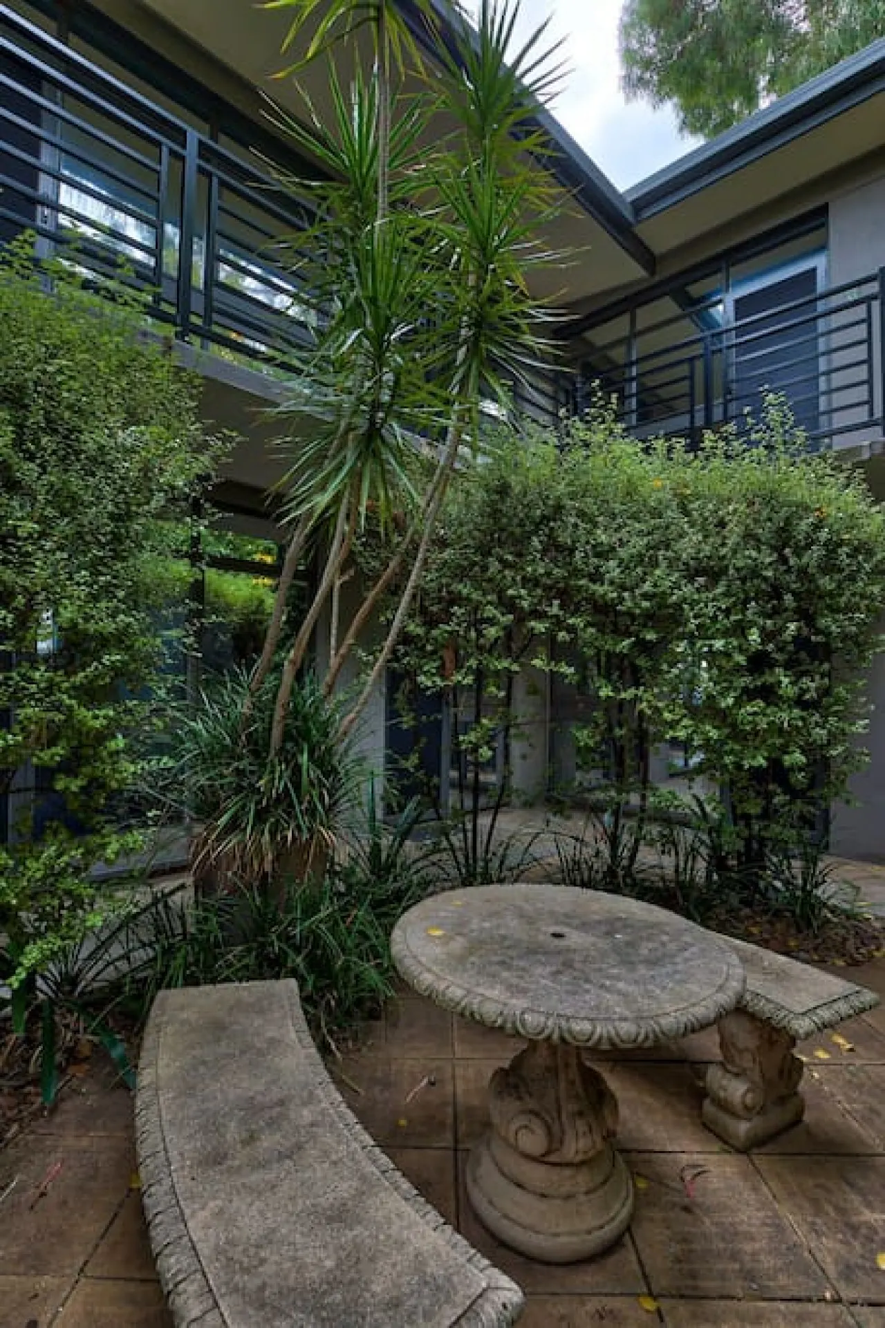 Boho on Sussex—Peaceful Studio Close to the City 13