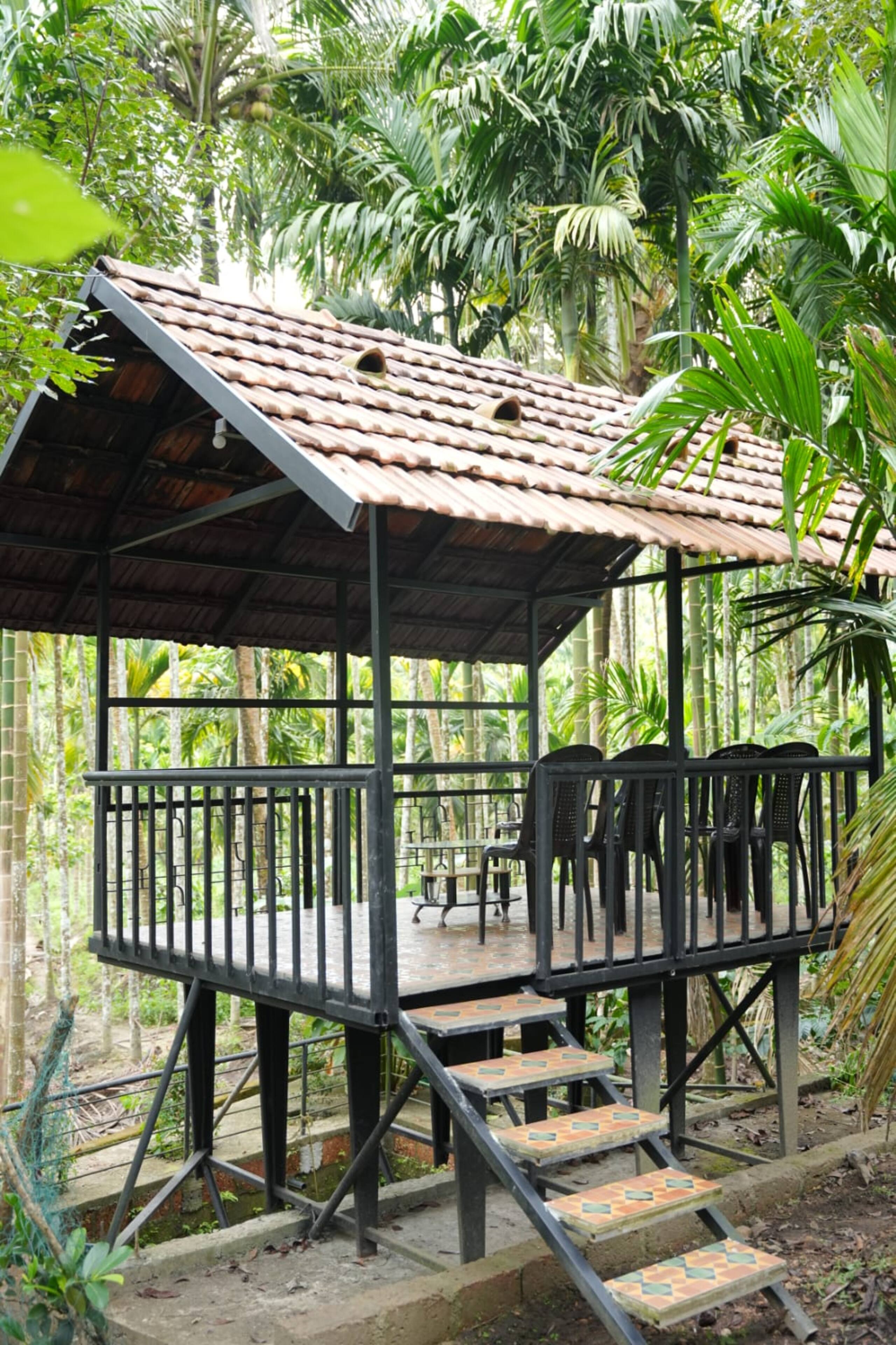 Wild Castle Wayanad 17