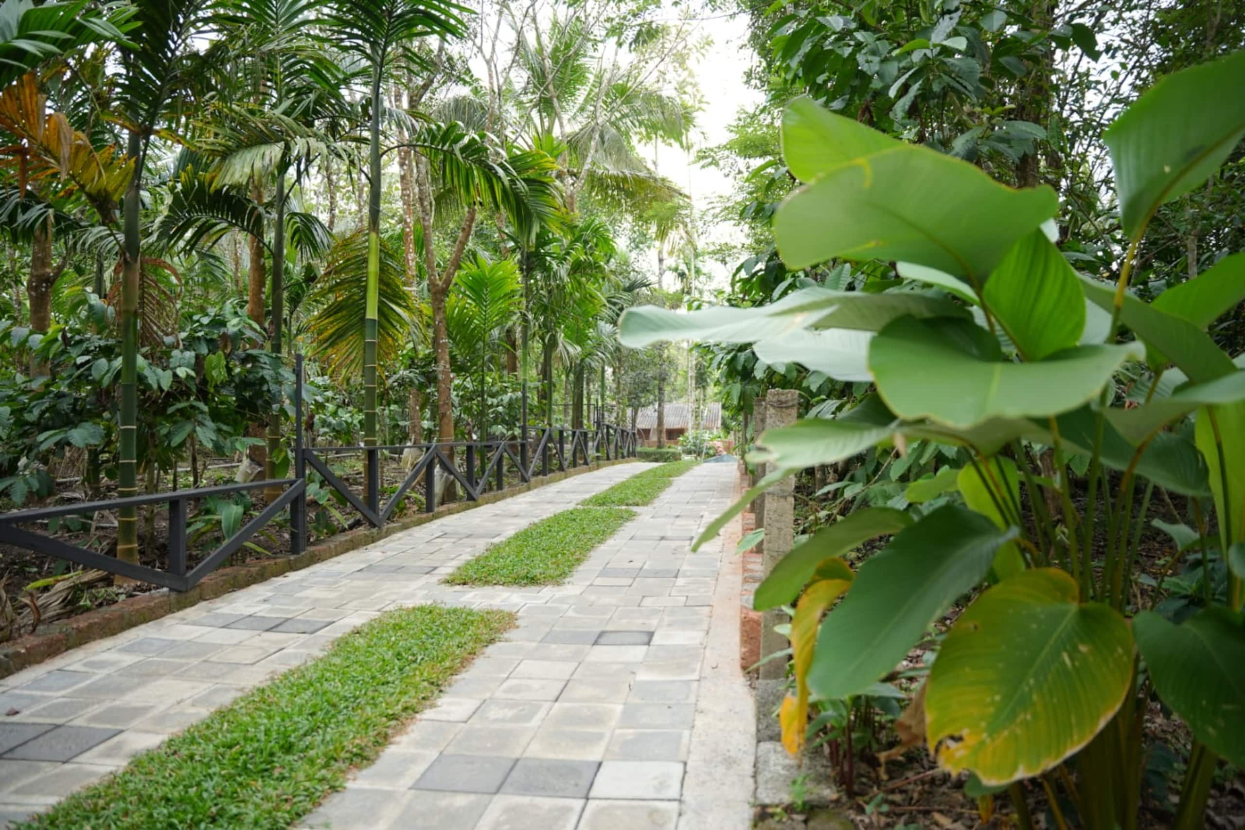 Wild Castle Wayanad 13