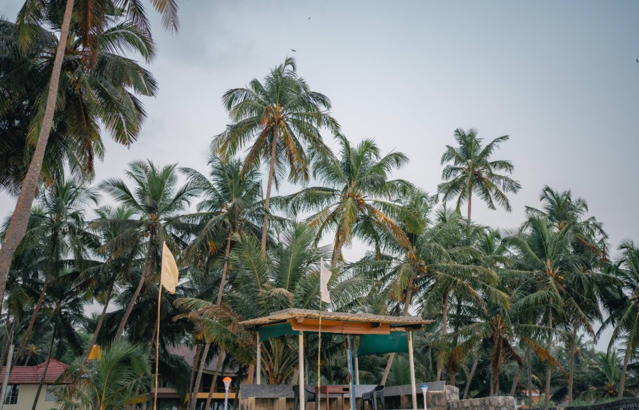Nexus Homestay - Beach Faced Cottage A 16