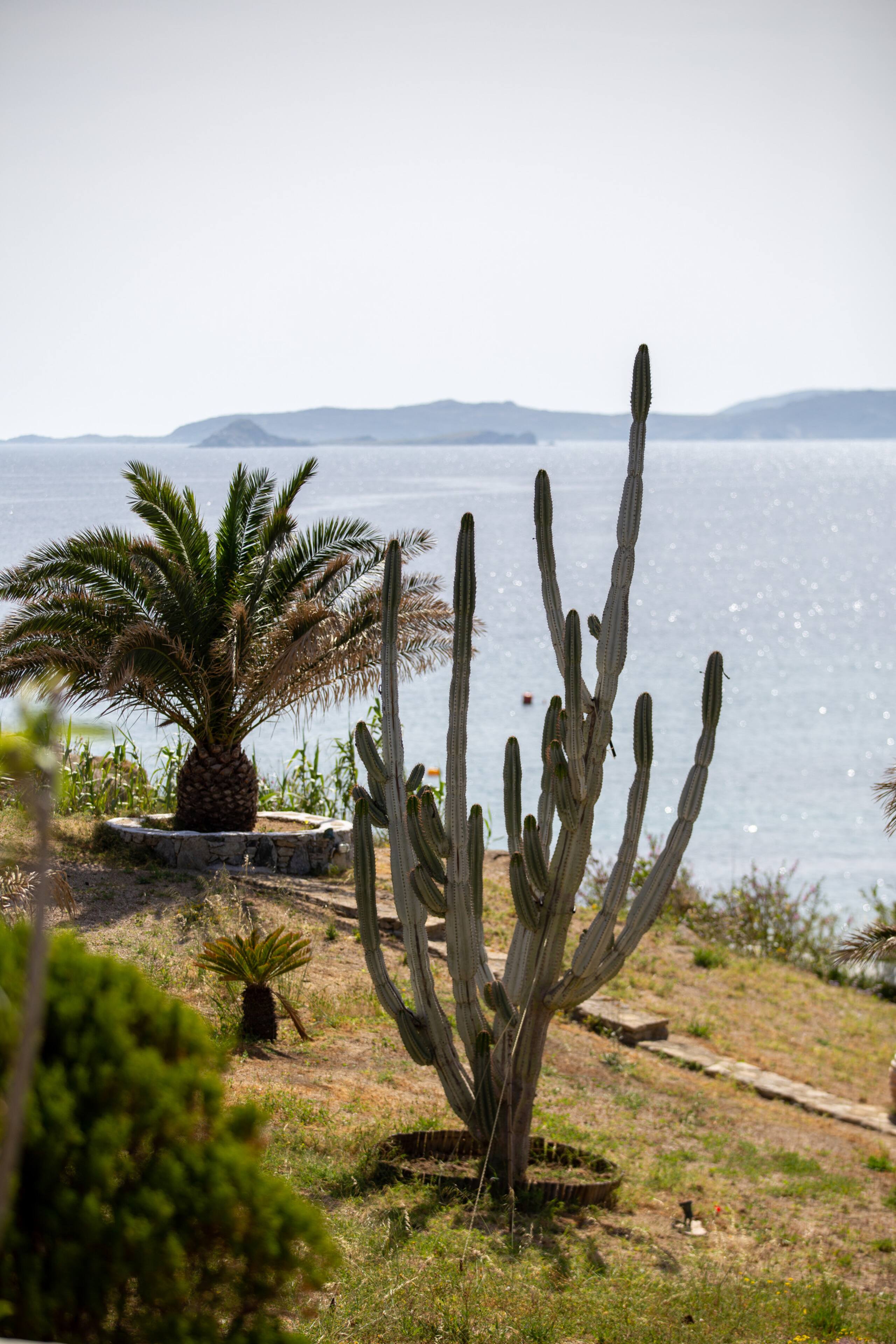 Only yours Mykonos, the standard studio 20