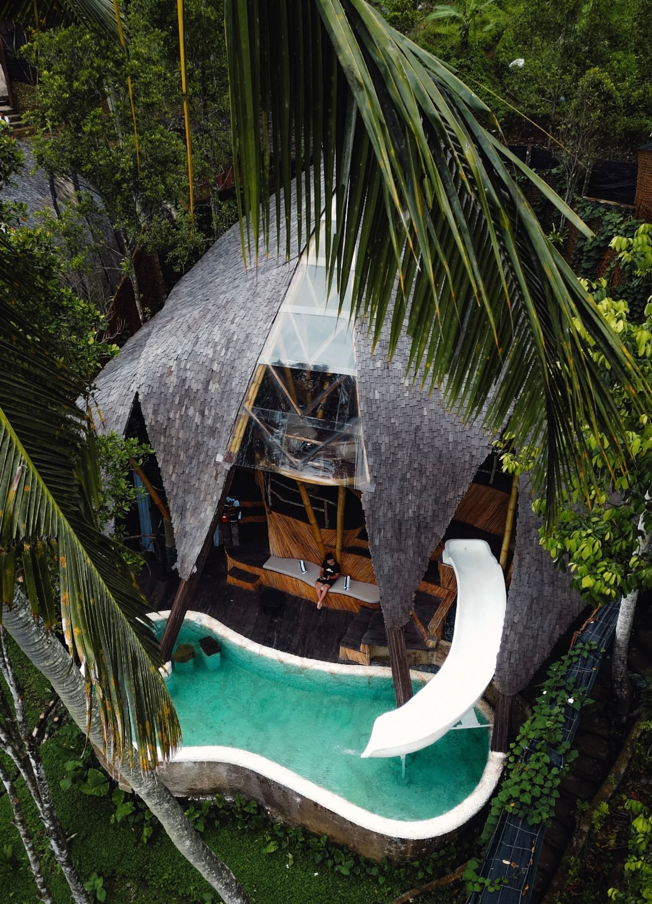 Veluvana Mountain - Squid House 9