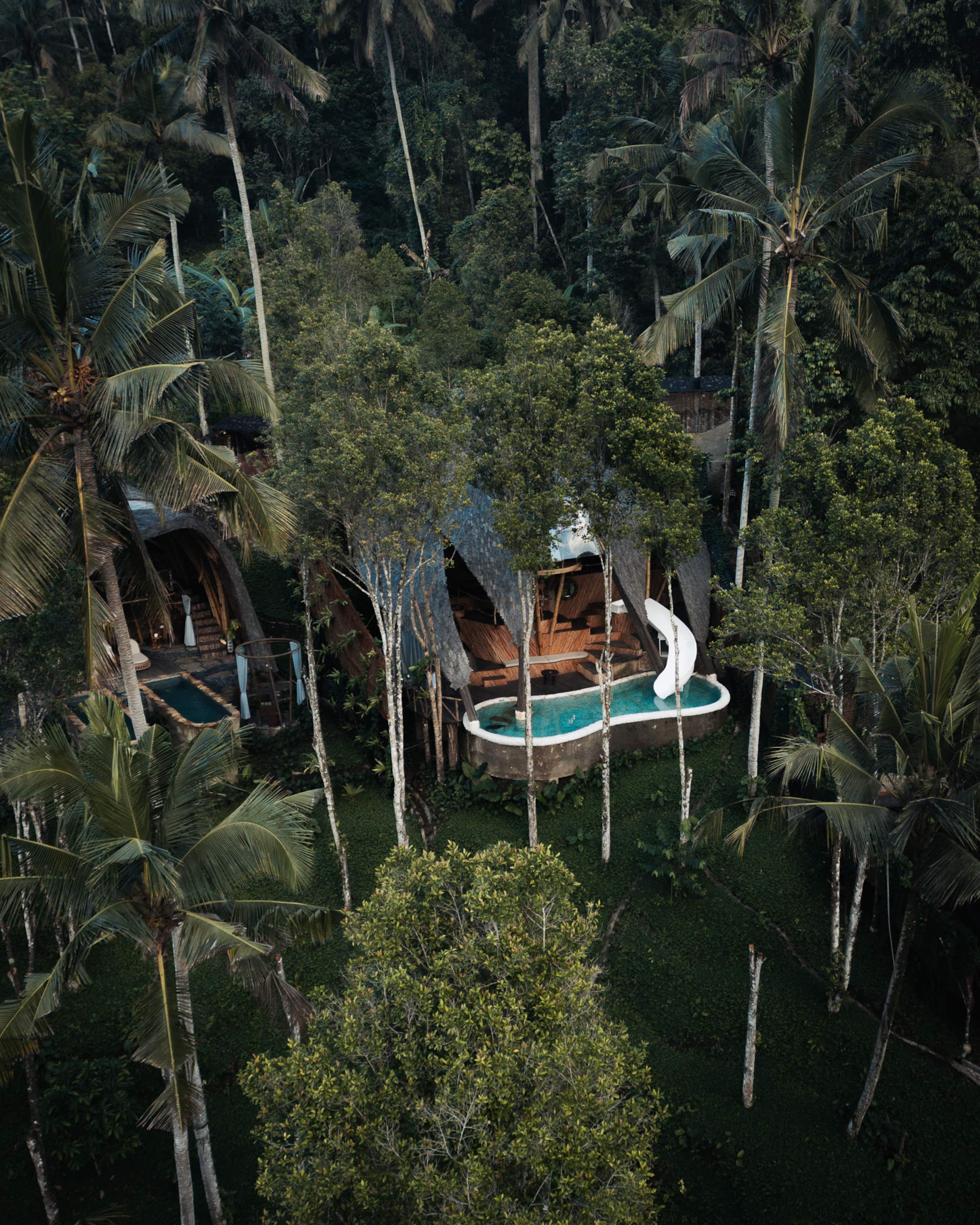 Veluvana Mountain - Squid House 11