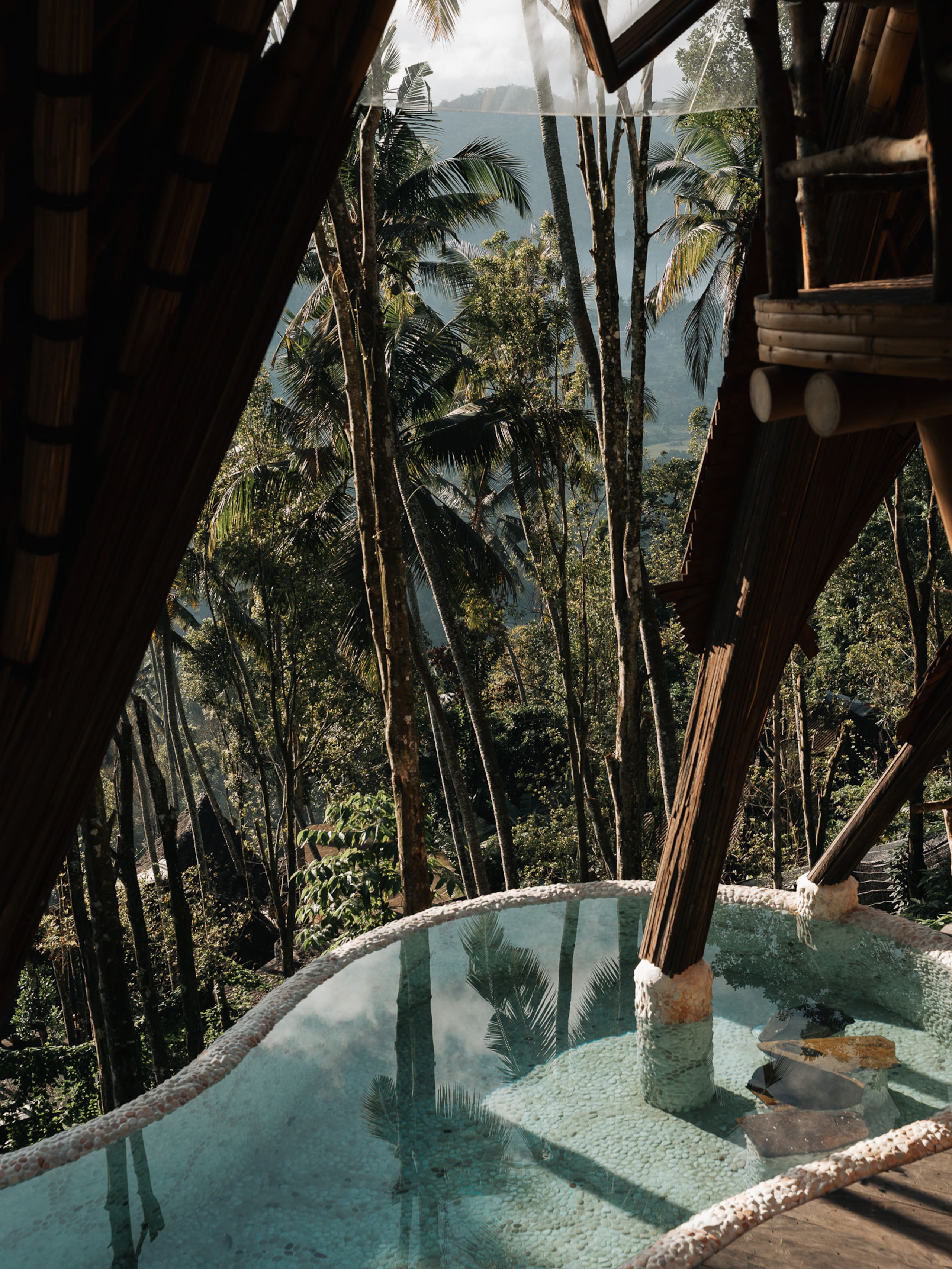 Veluvana Mountain - Squid House 12