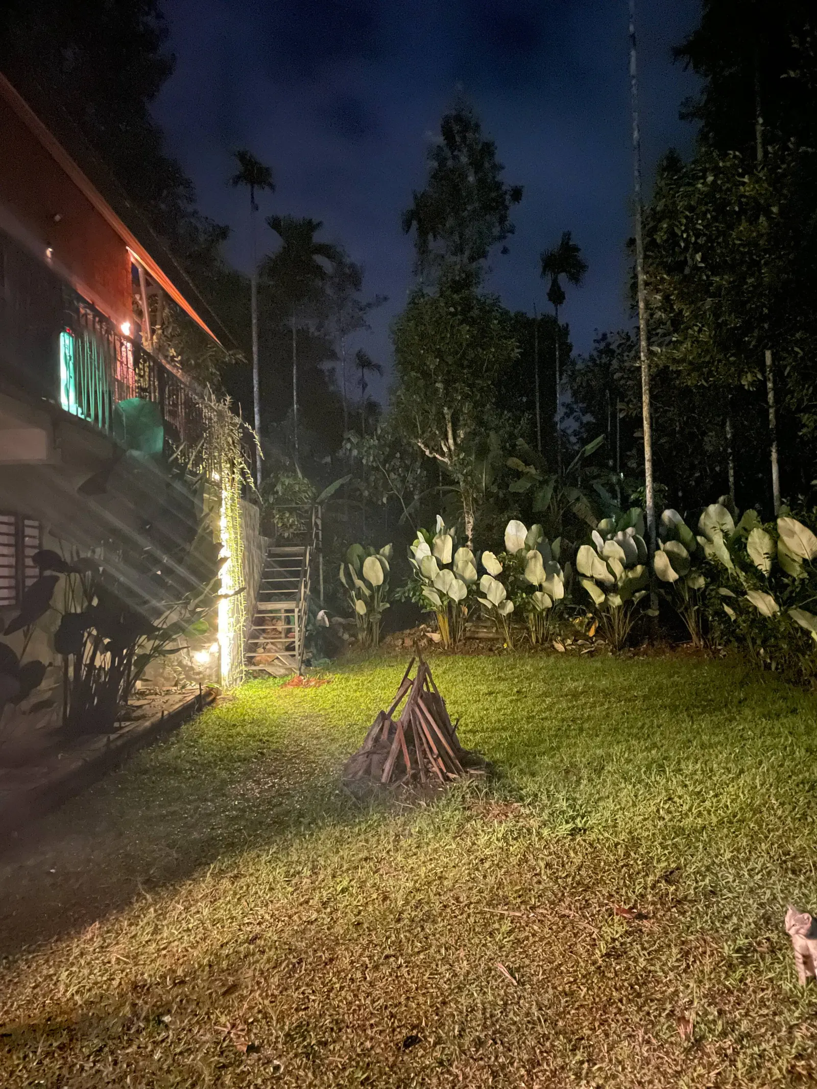 Senthamarai Cottage – Quiet Nature Escape 7