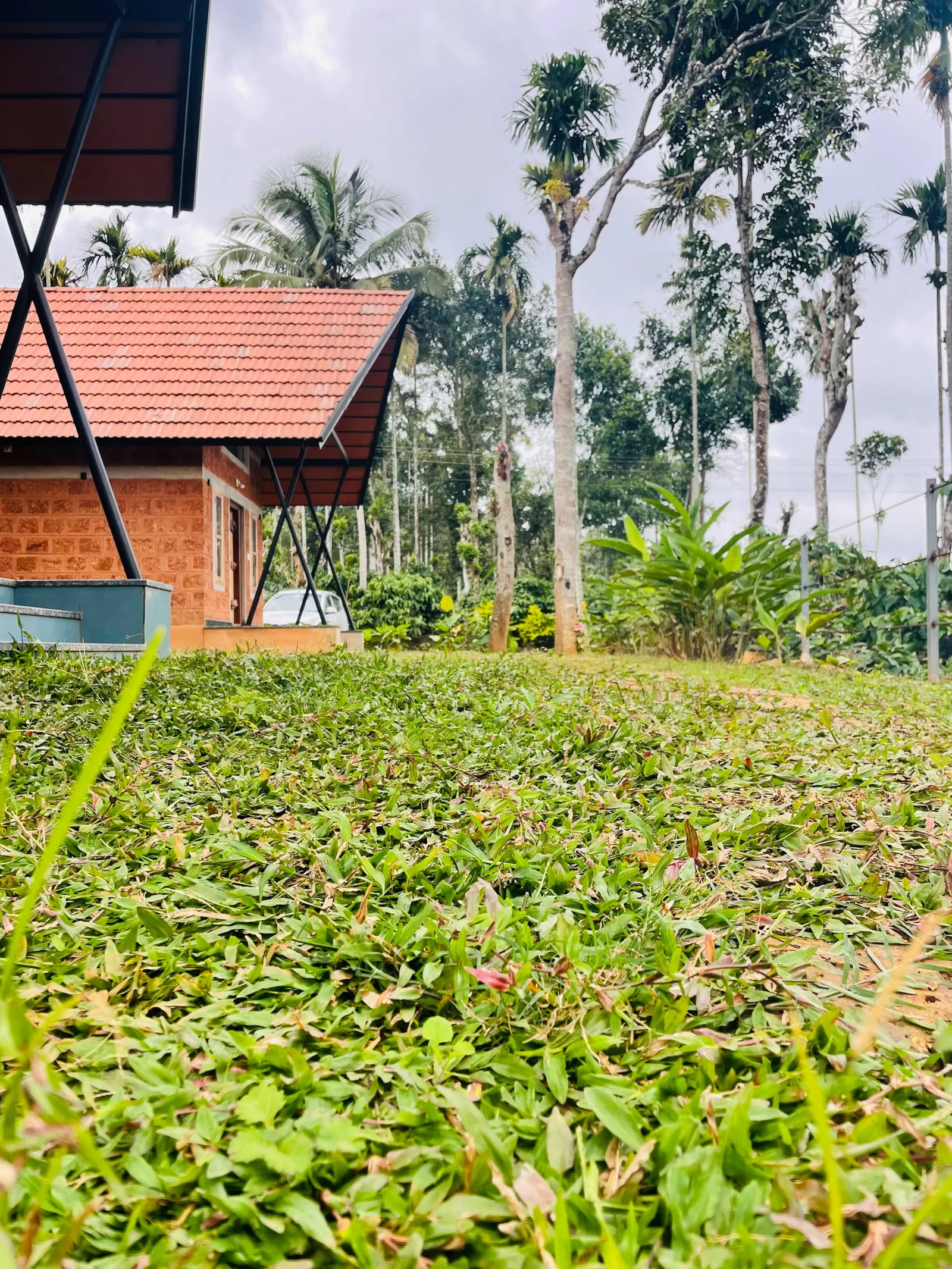 Senthamarai Cottage – Quiet Nature Escape 5