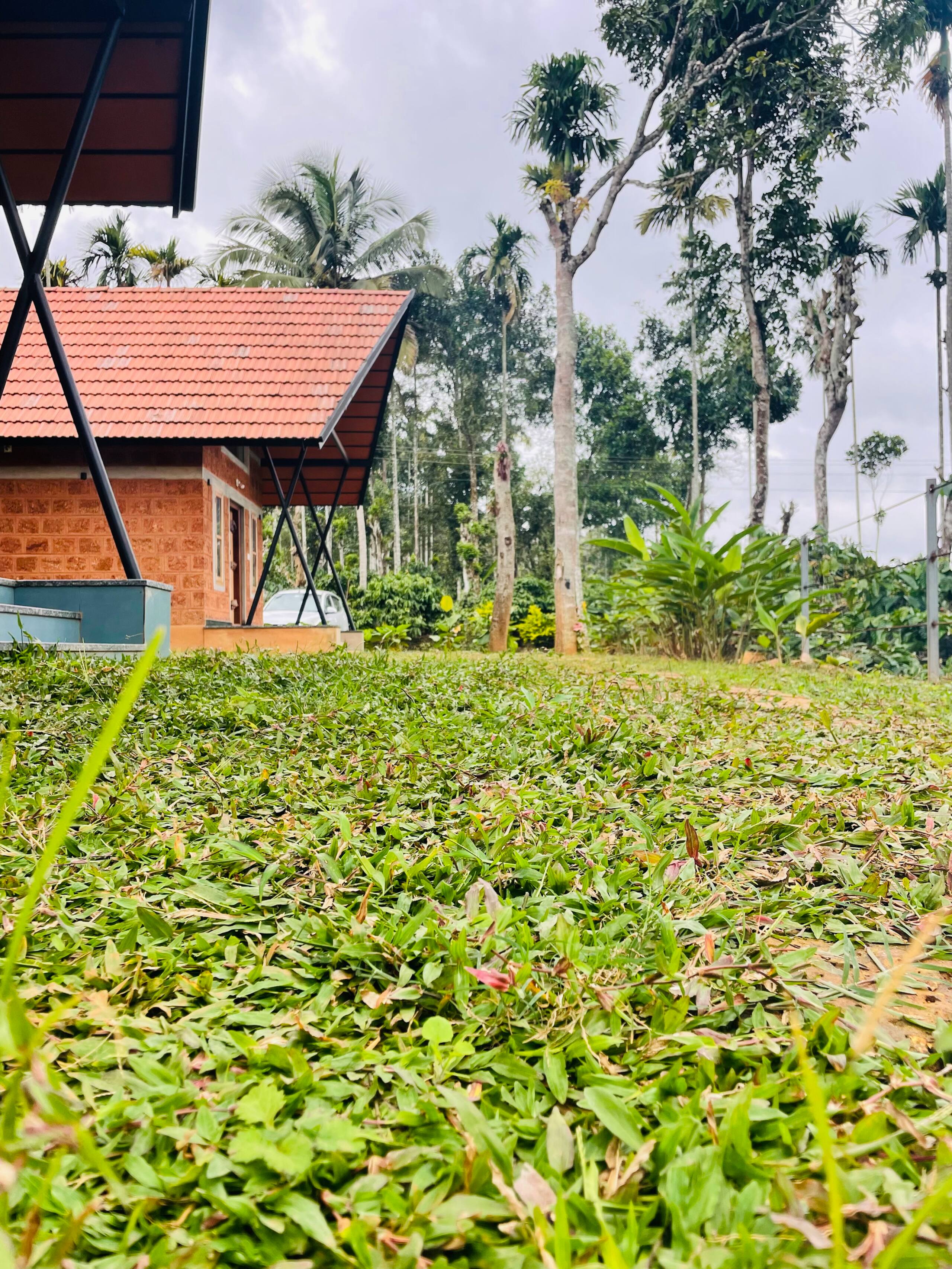 Senthamarai Cottage – Quiet Nature Escape 5