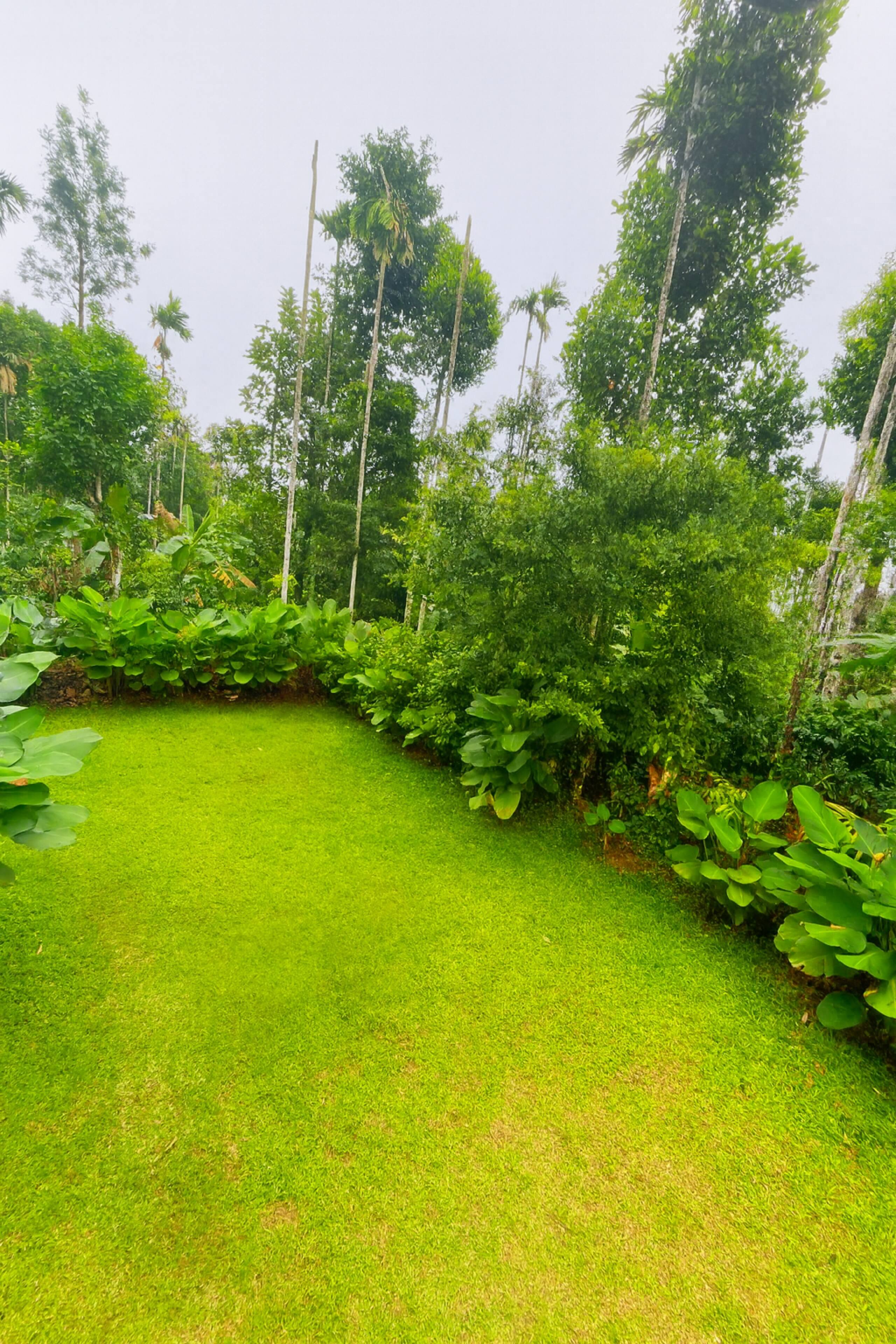 Senthamarai Cottage – Quiet Nature Escape 27